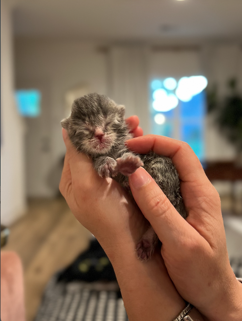 Screenshot 2026-02-16 at 4.14.39 PM.png