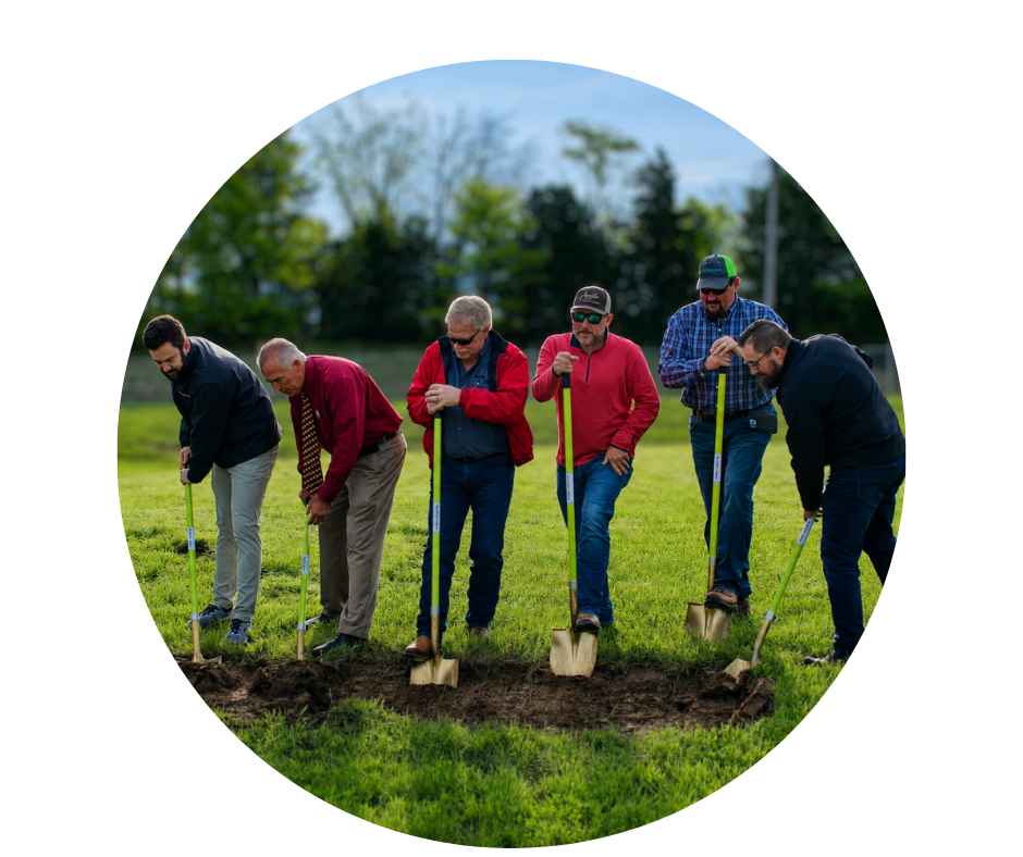 Six men planting a tree in a grassy field using shovels.