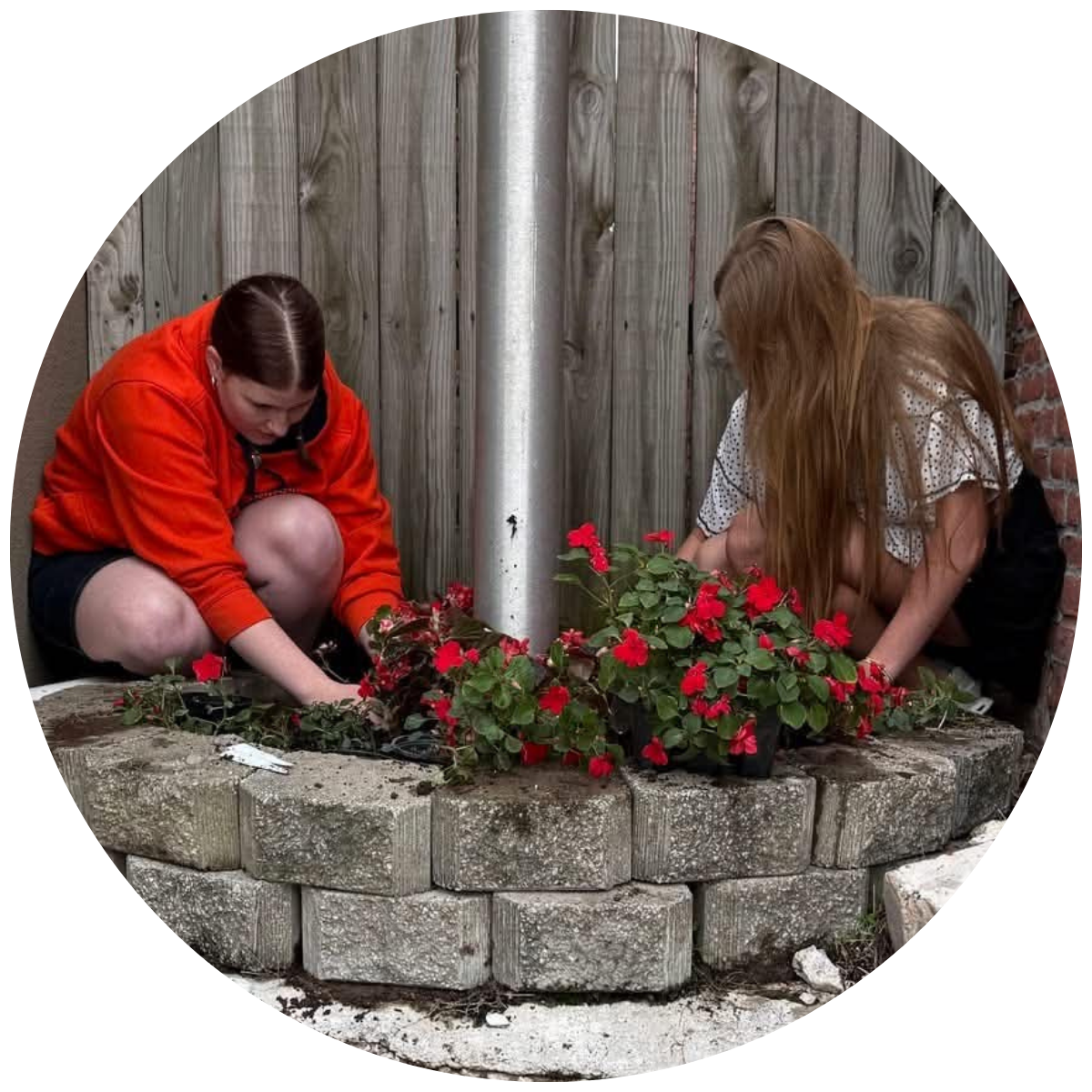 Two girls planting flowers in a small brick garden bed surrounded by a wooden fence.