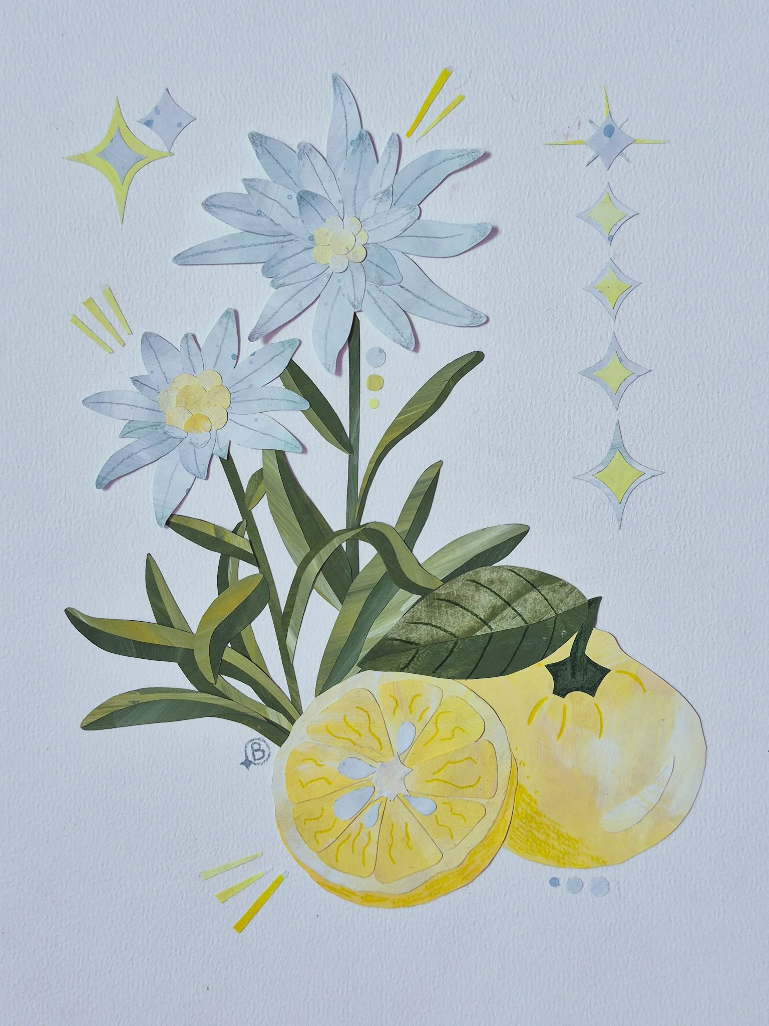 yuzu + edelweiss papercut collage illustration