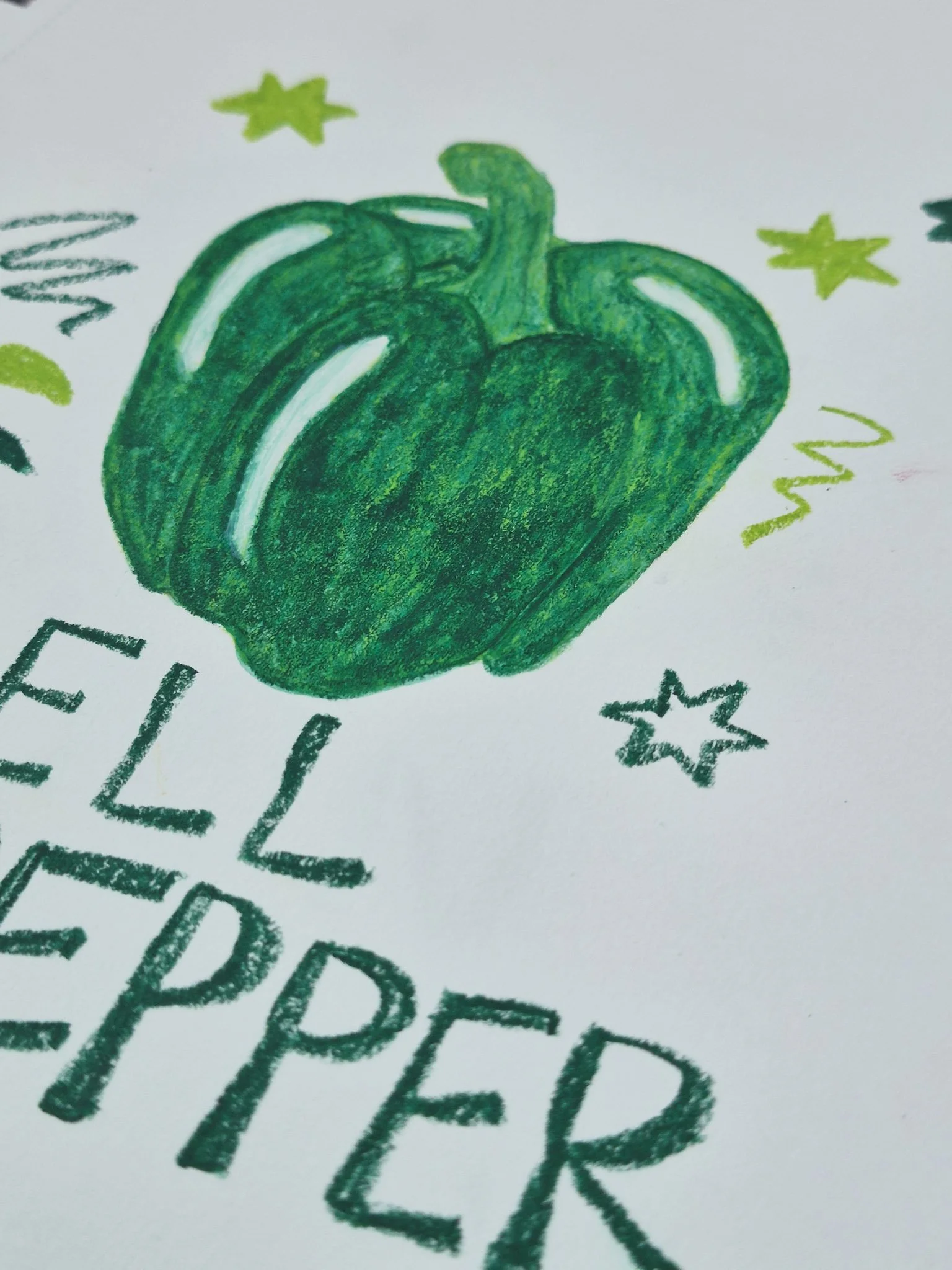 close up  of green bell pepper illustration