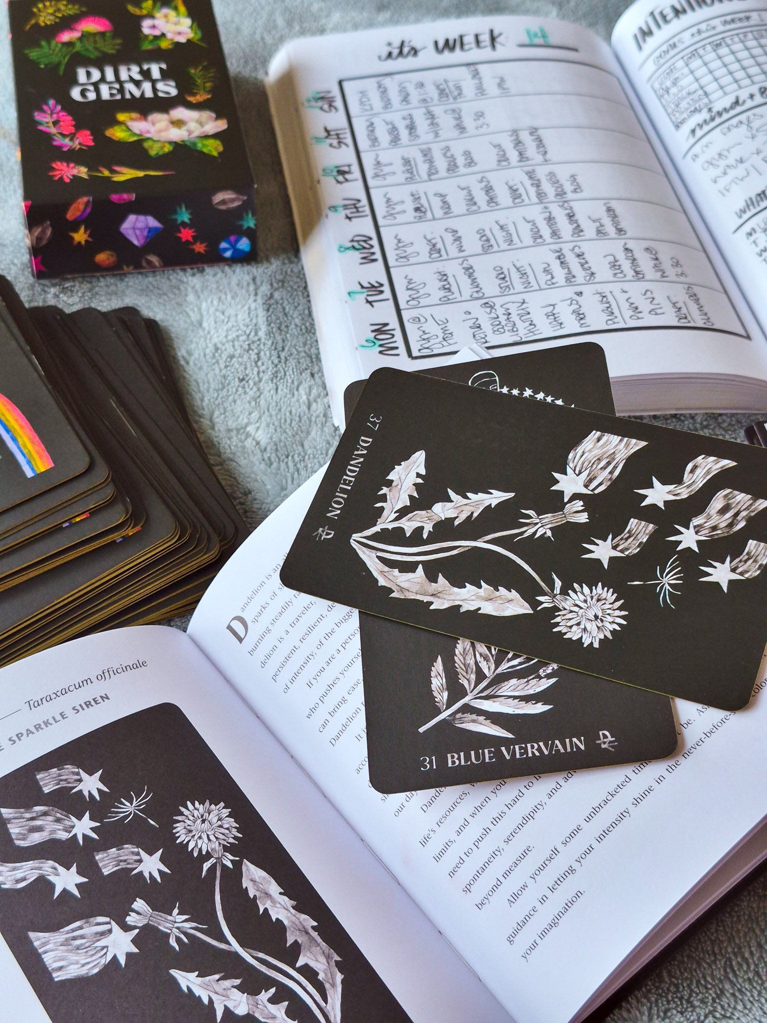 A cozy herbal planning setup with botanical oracle cards (dandelion and blue vervain), a weekly planner spread, and illustrated ‘Dirt Gems’ deck—perfect for slow living, journaling, and nature-inspired routines.