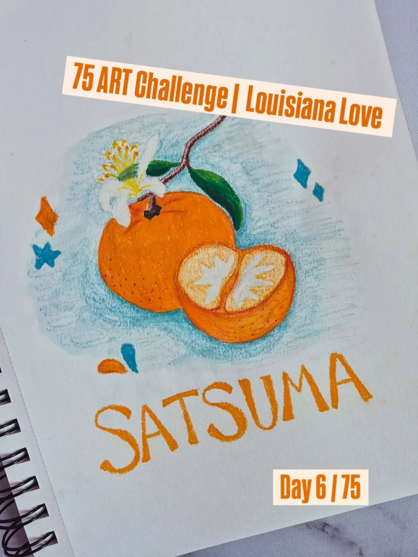 Louisiana Love | Day 6 of 75 Art Challenge

Satsuma 🍊

A bright, bite-sized burst of sweetness in the bleak midwinter.

Still moving at a pace that honors real life. Softness over speed + care over perfection
 

#75art #nolalove #cozyartpractice #sl