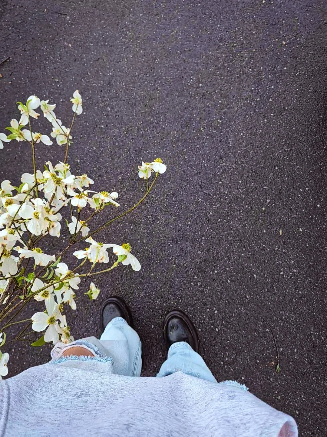 a rain soaked driveway and a POV image of the artist's black combat boots and ripped jeans while carrying a handful of foraged flowering dogwood branches