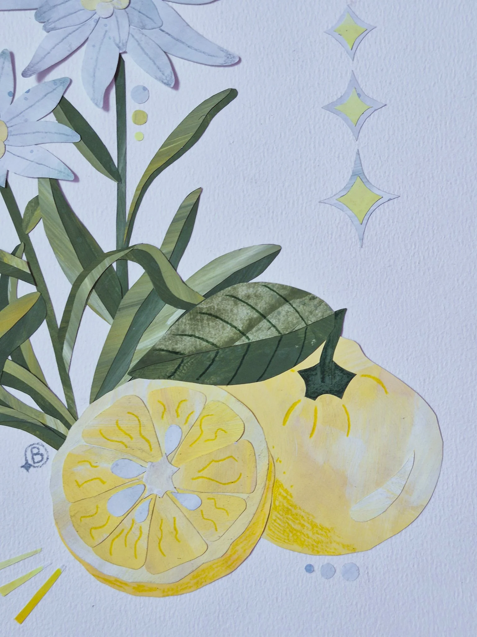 closeup yuzu papercut collage illustration with retro starburst details