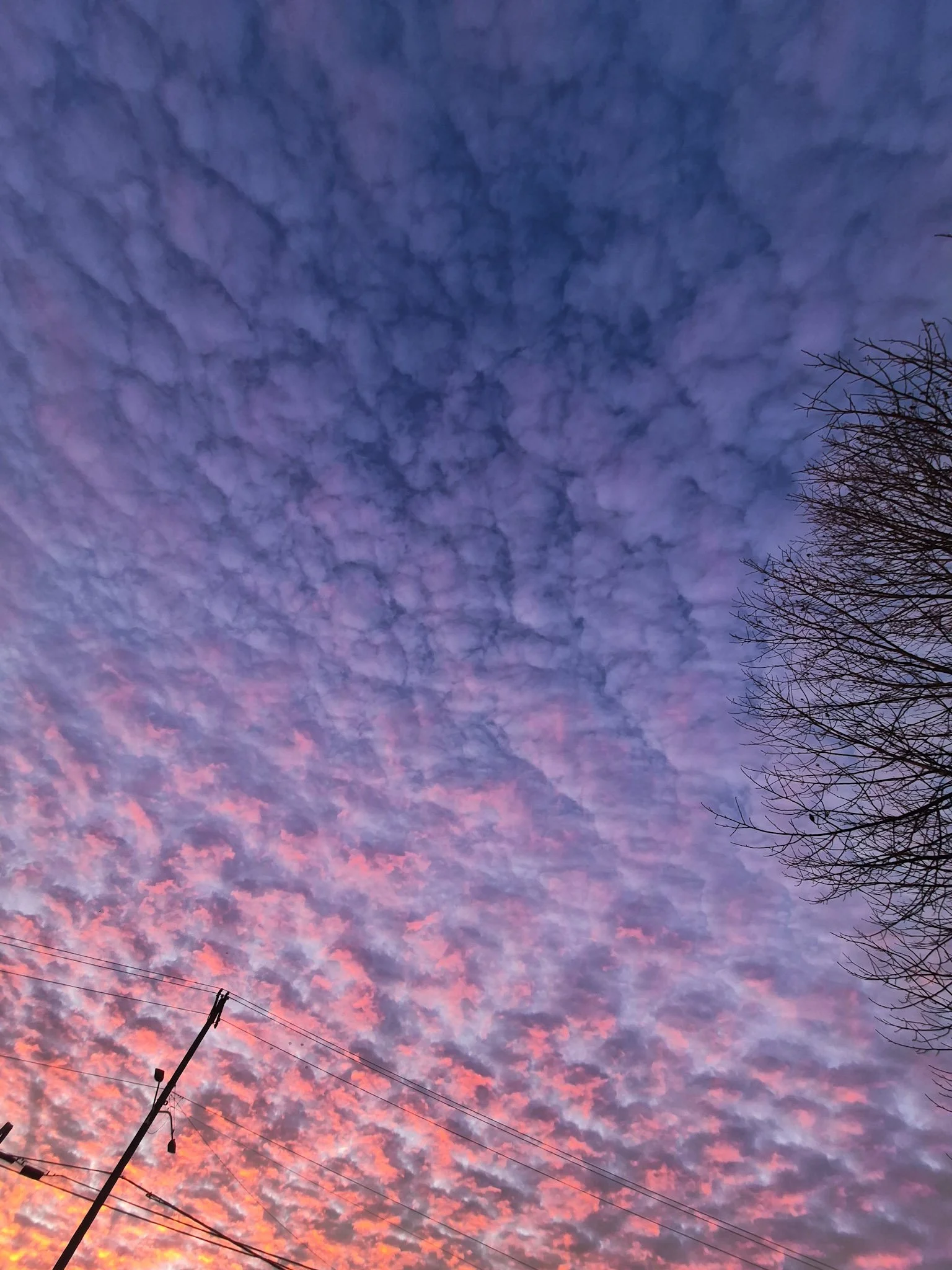 sunrise with a sheet of glowing clouds in shades of pink and lavender