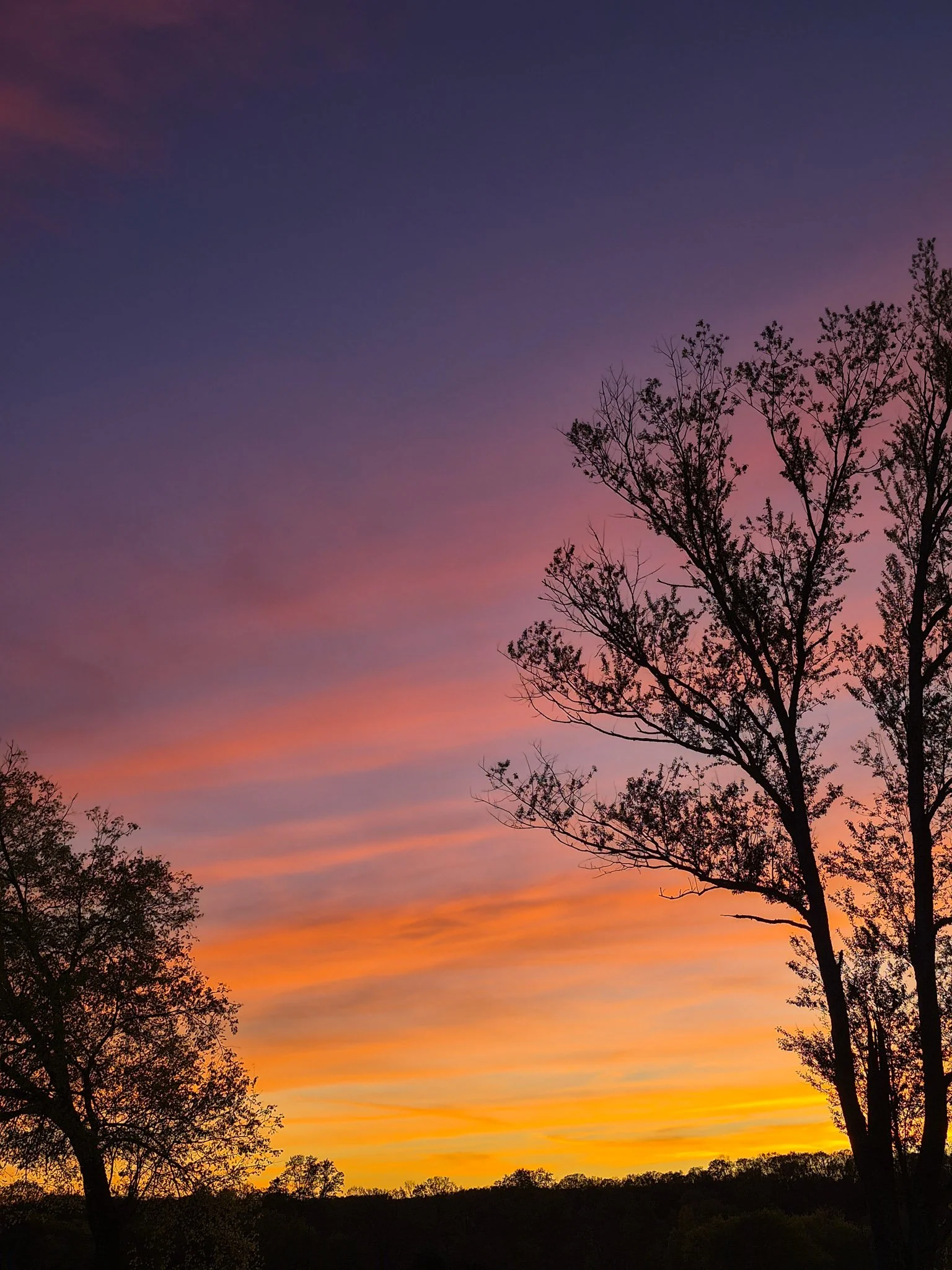 east tn sky check lavender and pink sunset with whisps of orange and gold rippling clouds on the horizon