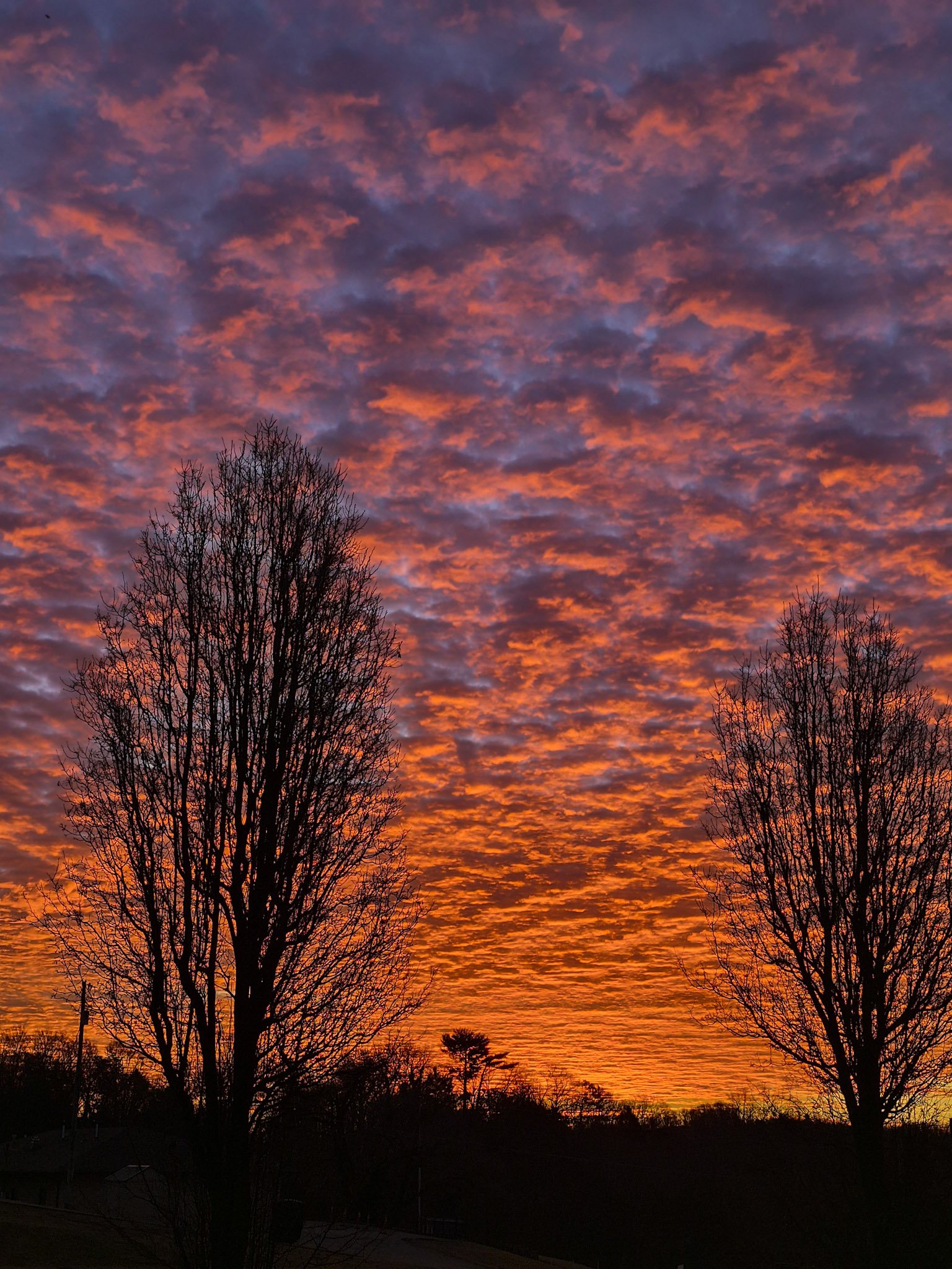 sunrise of fire with a sheet of glowing orange clouds fading to rich pinks and purples