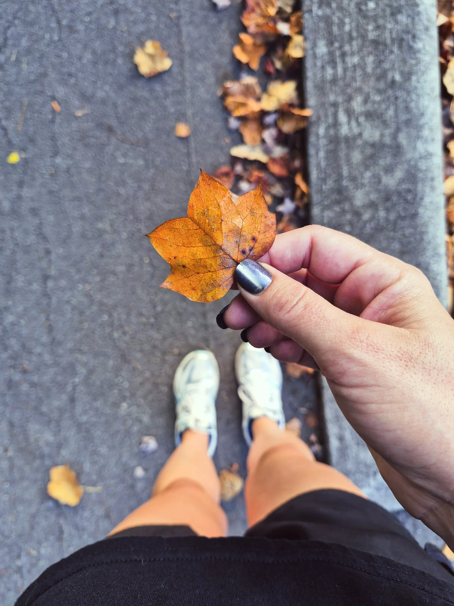A hand holding a small orange autumn leaf while walking along a paved path scattered with fallen leaves.