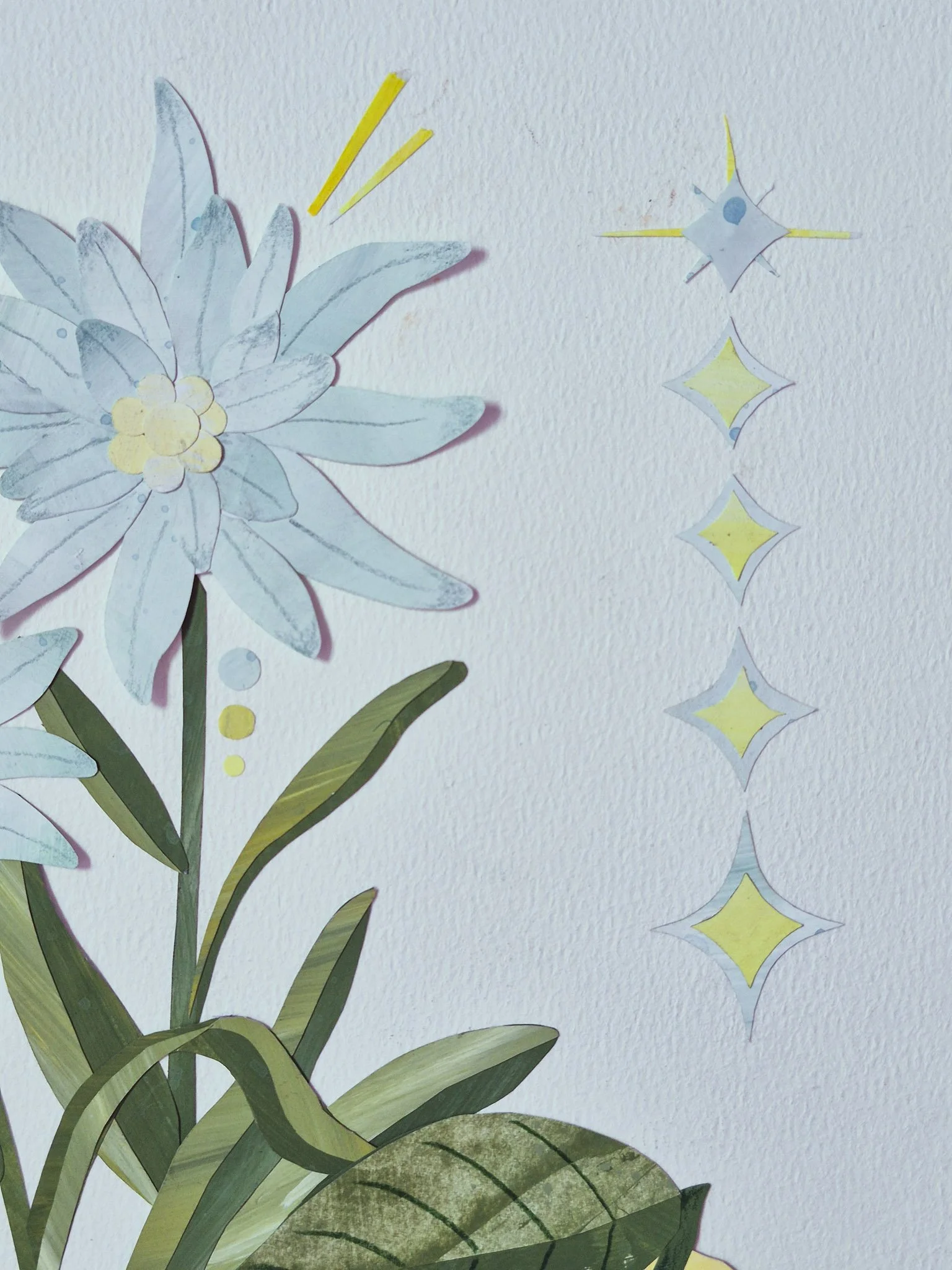 a close up image of hand-painted paper collage edelweiss flower and retro starbursts