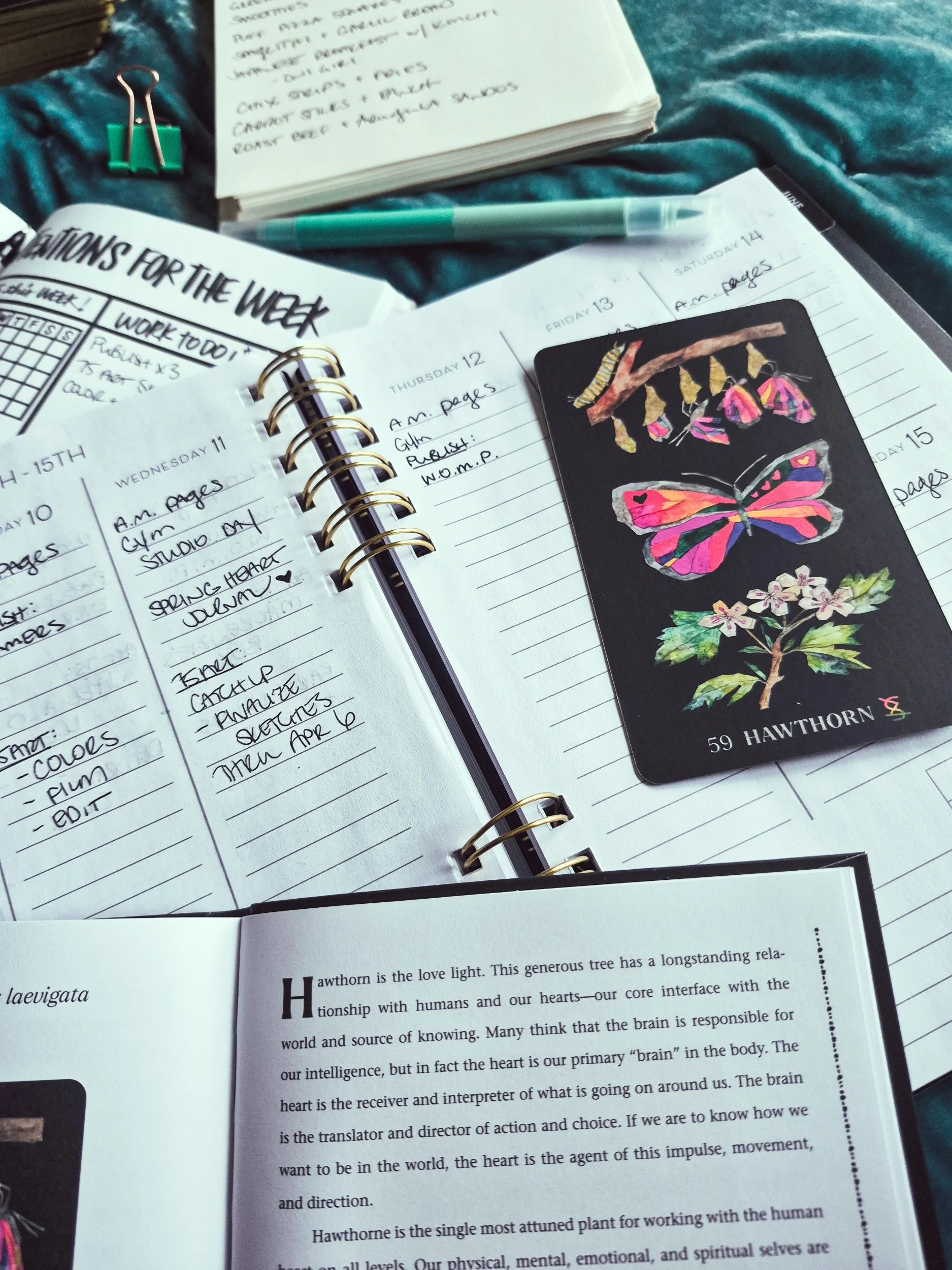 creative planning layout with an open weekly planner, notepad, and an oracle card from the Dirt Gems deck all laying atop a teal velvet bedspread