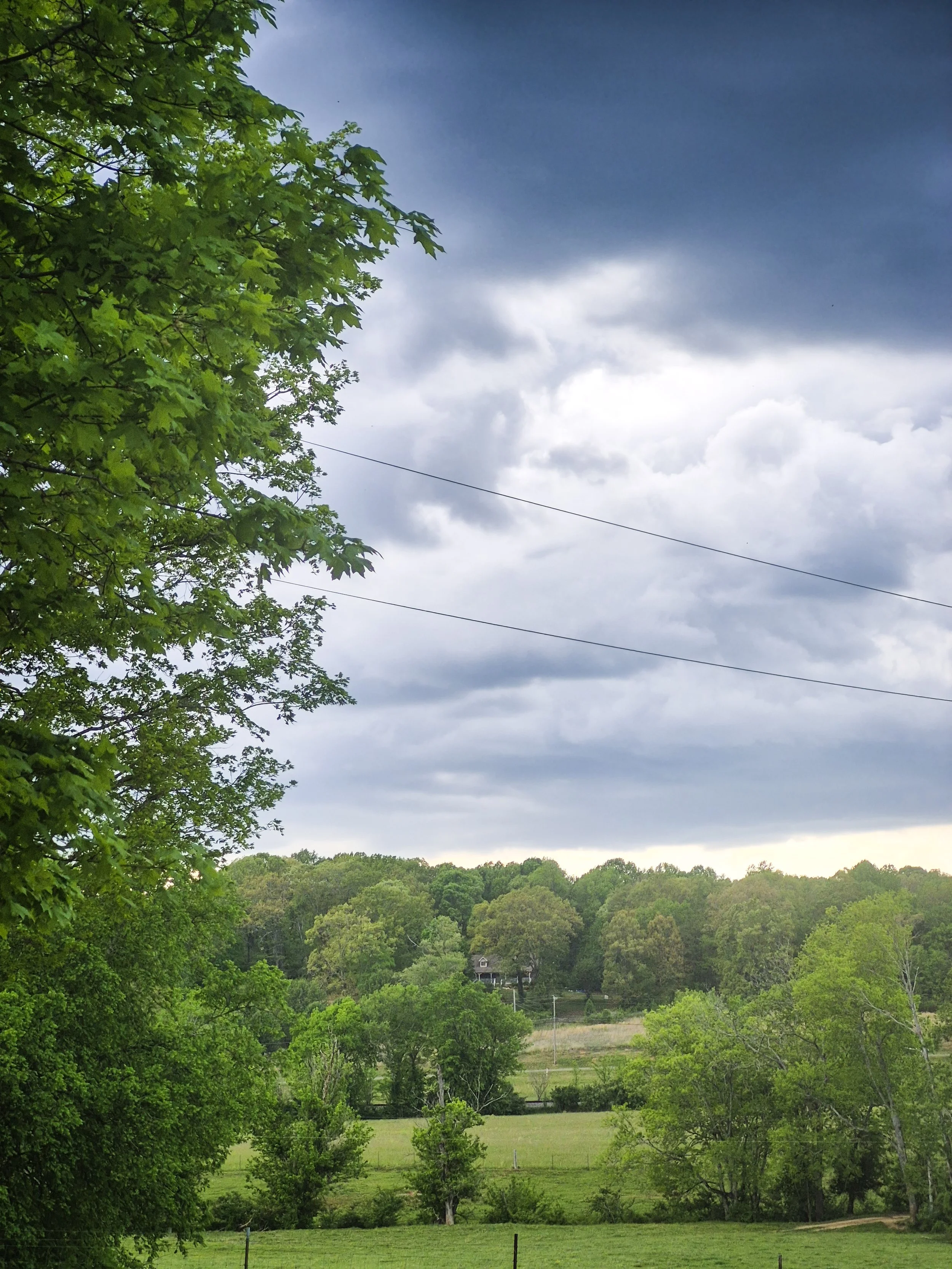 Dark storm clouds rolling over a lush green field and trees during the first spring rainstorm