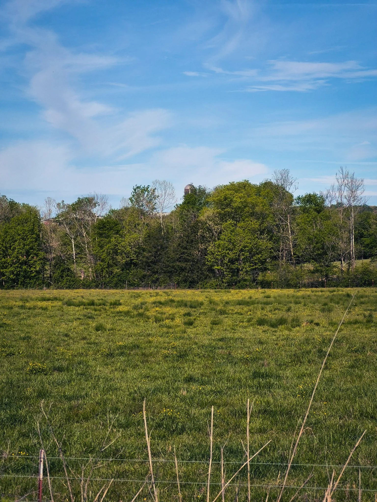 Calm countryside view with green field, trees, and blue sky during a peaceful spring drive