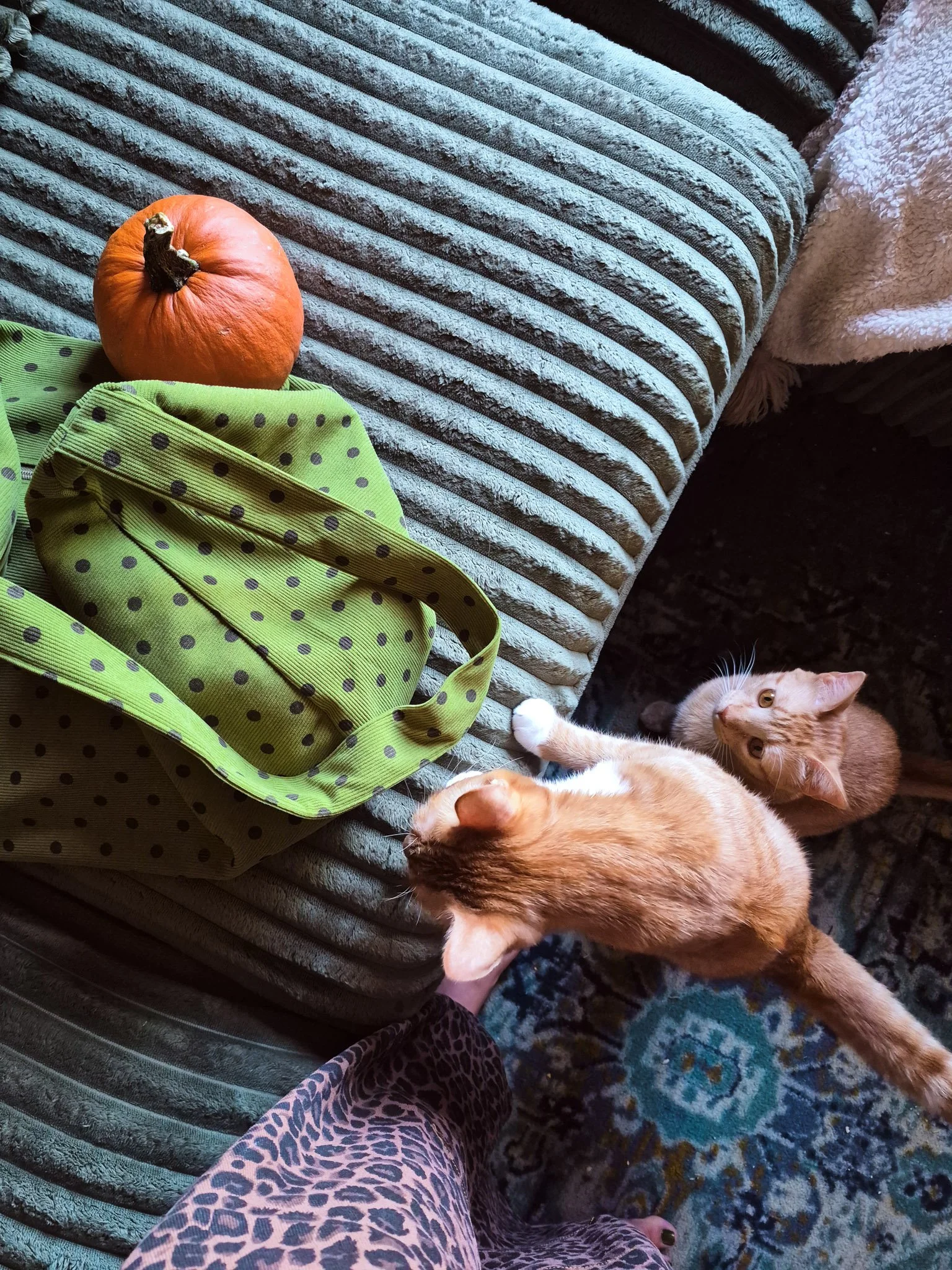 Two orange kittens playing beside a small pumpkin and a green polka-dot bag on a cozy chair.