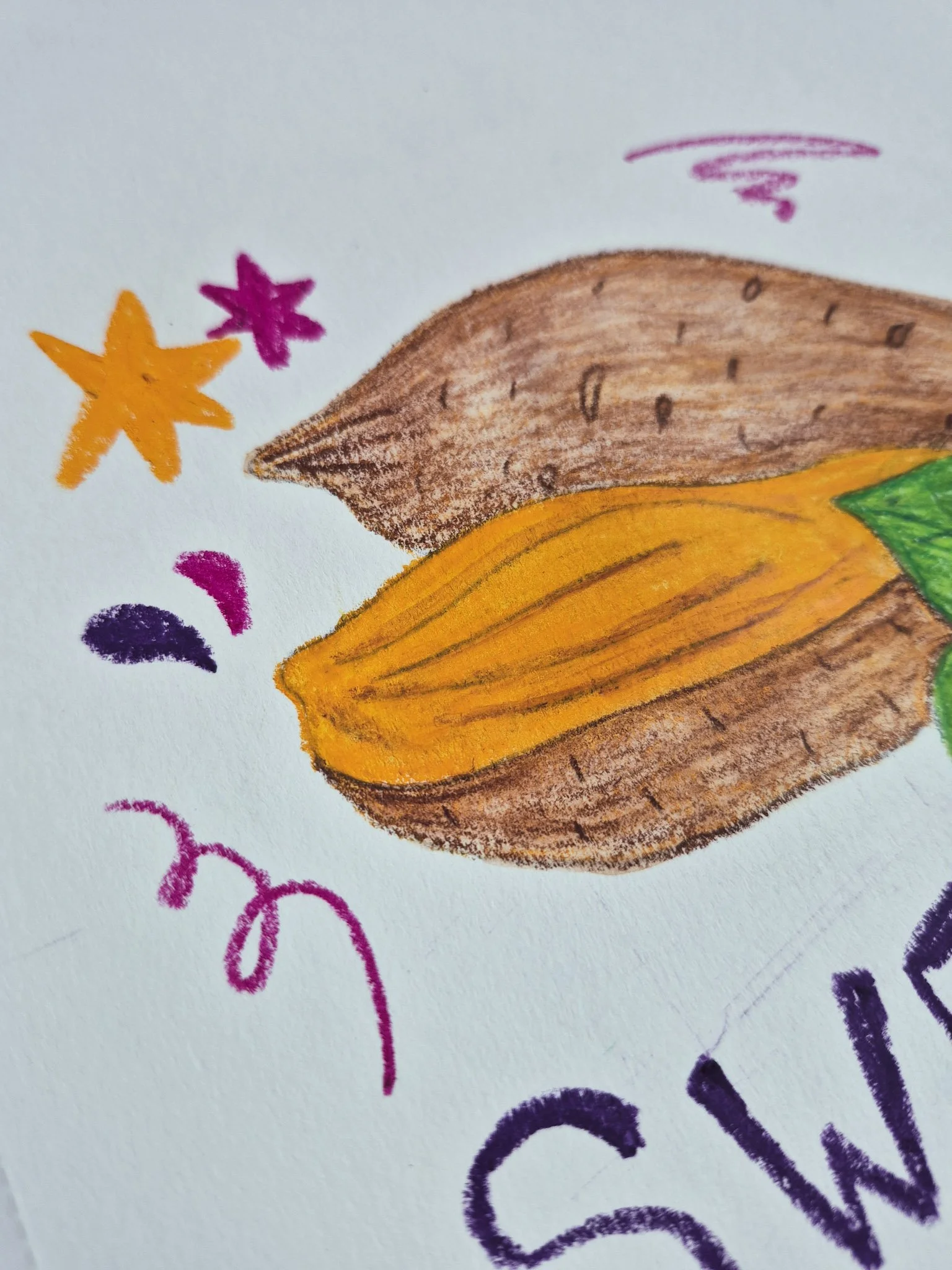 close up shot of sweet potato drawing
