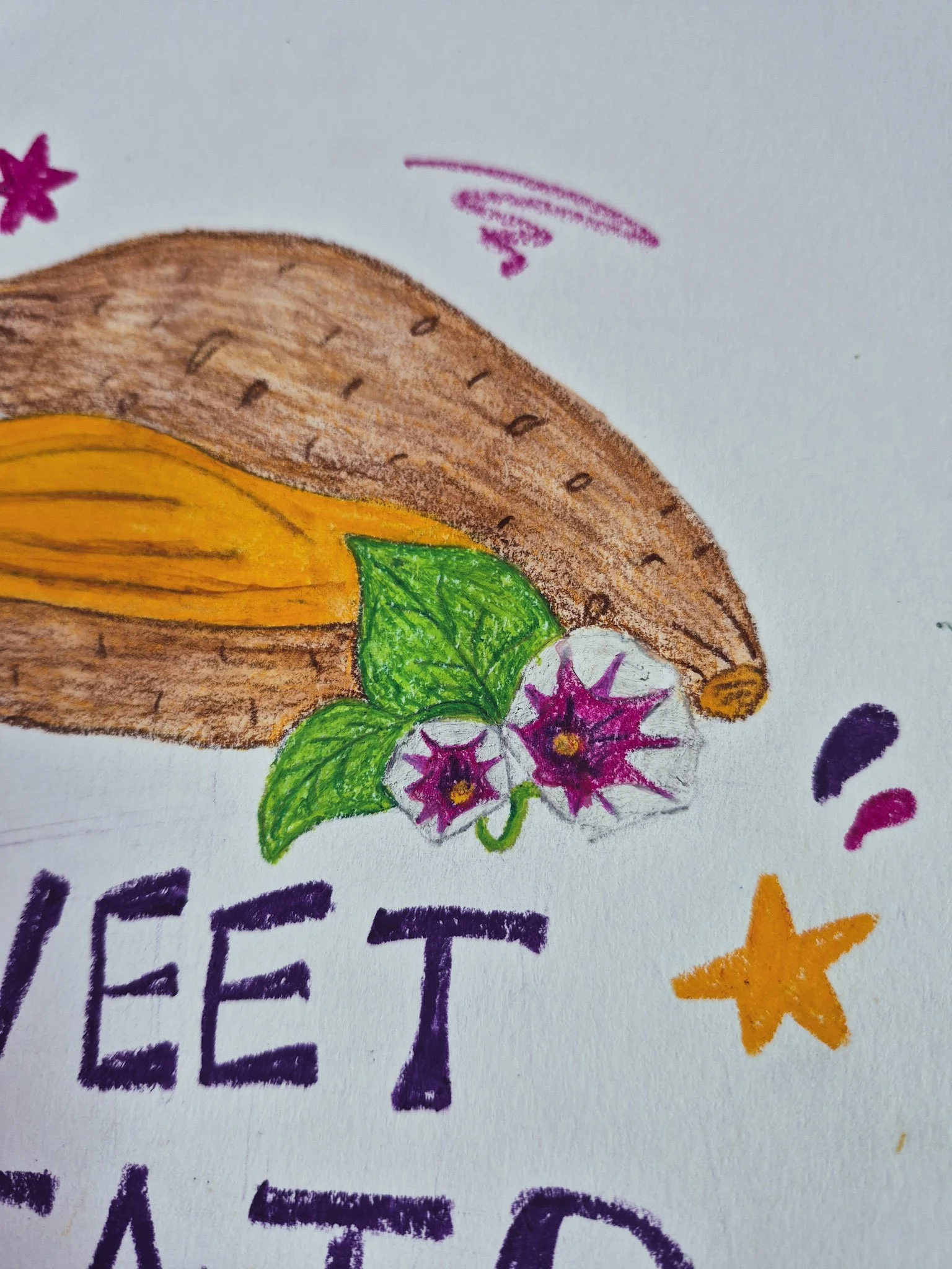 another close up progress shot of sweet potato for 75 Art drawing challenge