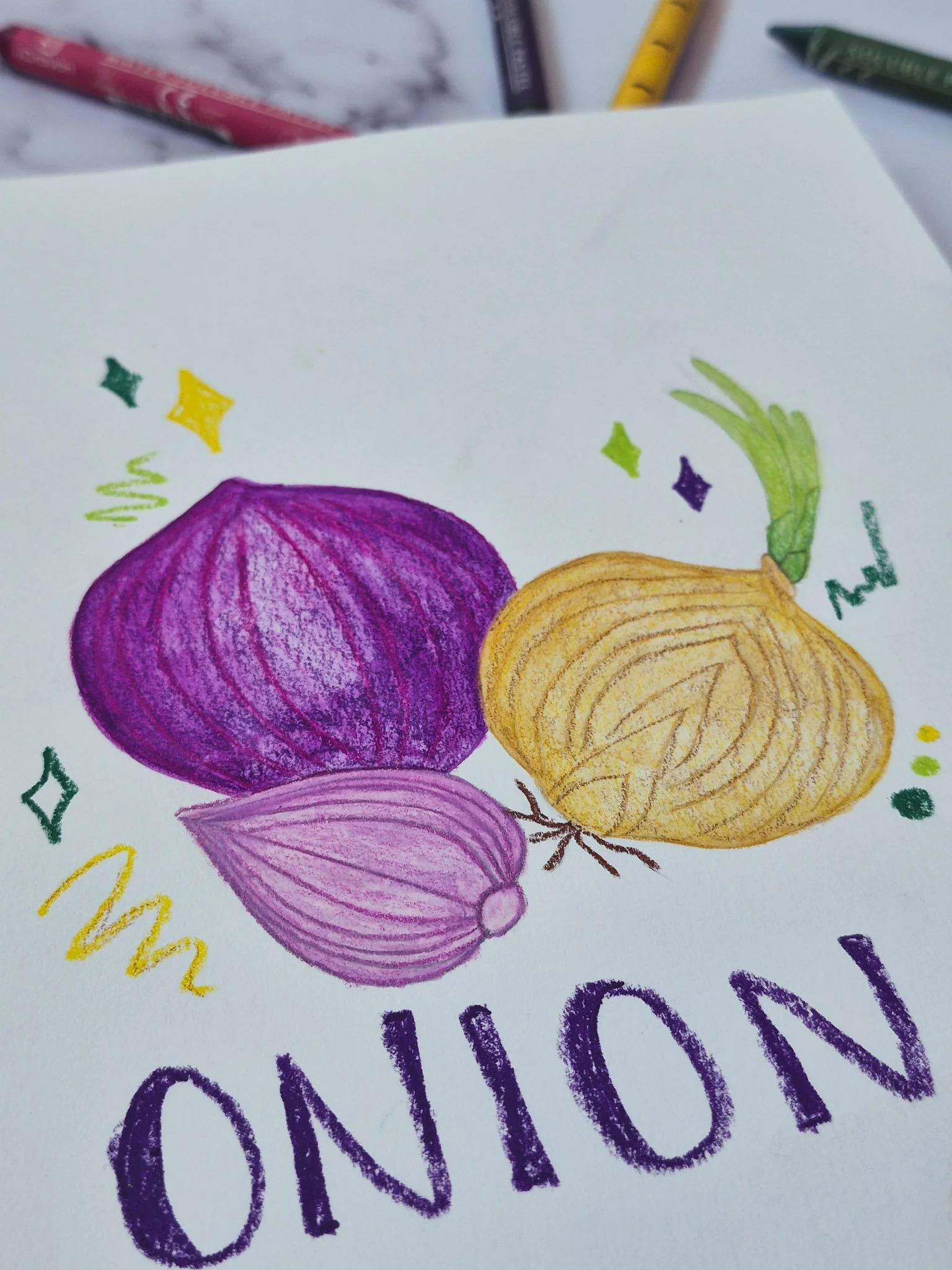 very close up image of onion illustration