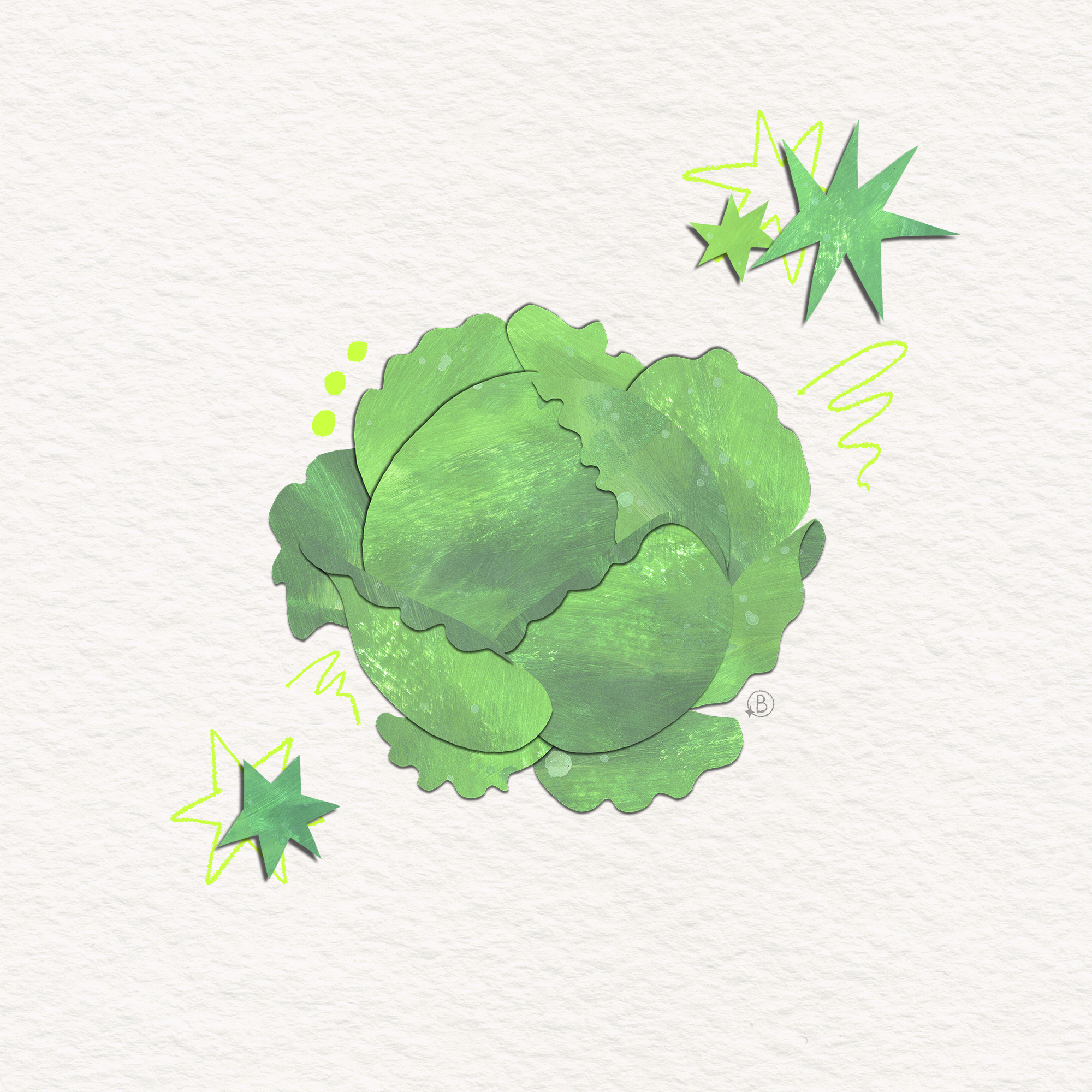 A verdant cabbage illustration made from hand-painted paper textures and digital collage.