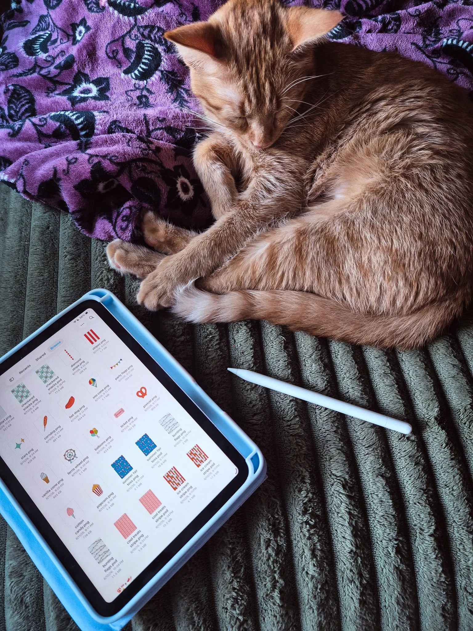 An iPad with an Apple Pencil beside a sleeping orange kitten on a cozy blanket, capturing a quiet moment of creative work from the couch.