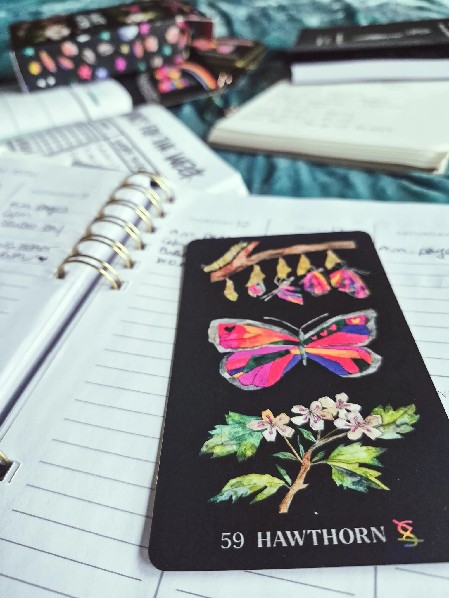 weekly planner spread open on desk with tarot cards around too