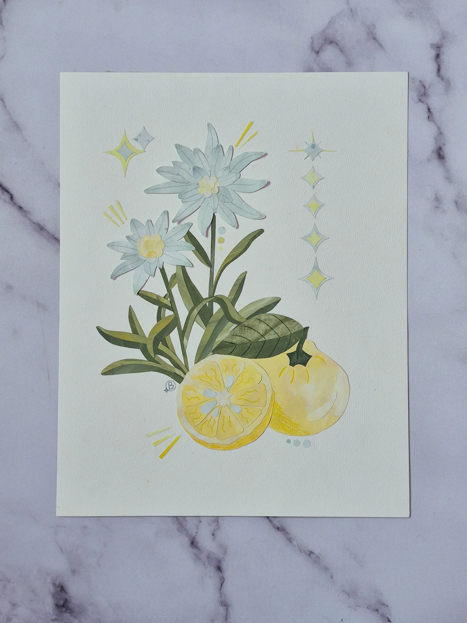 yuzu + edelweiss papercut collage illustration on white background