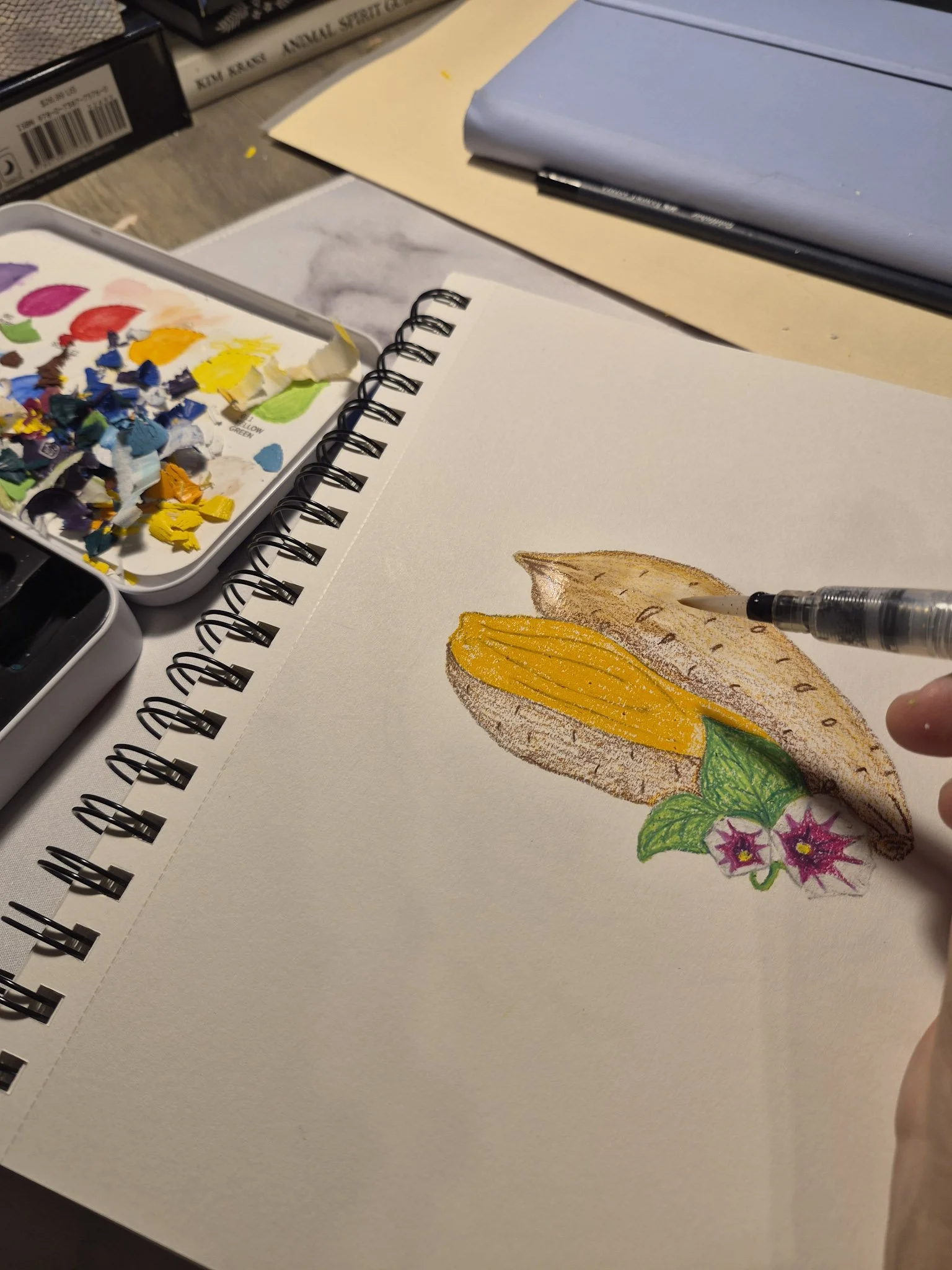 work in progress shot of artist applying watercolor to a drawing of a sweet potato