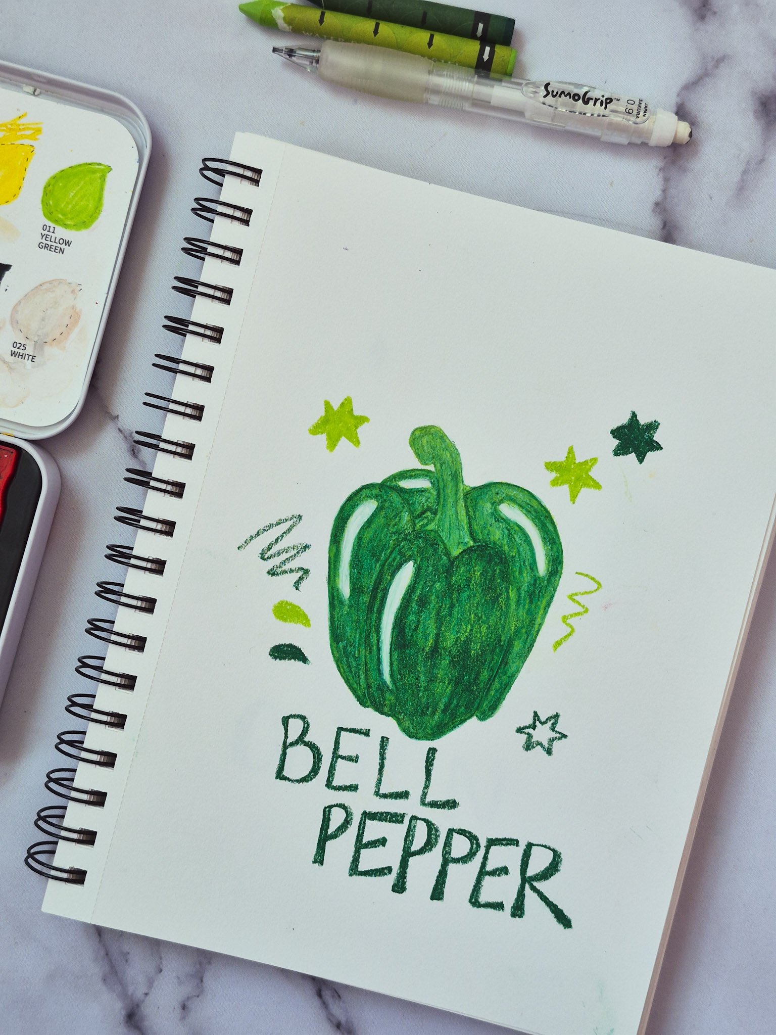 overhead image of bell pepper illustration in a sketchbook with white marble background