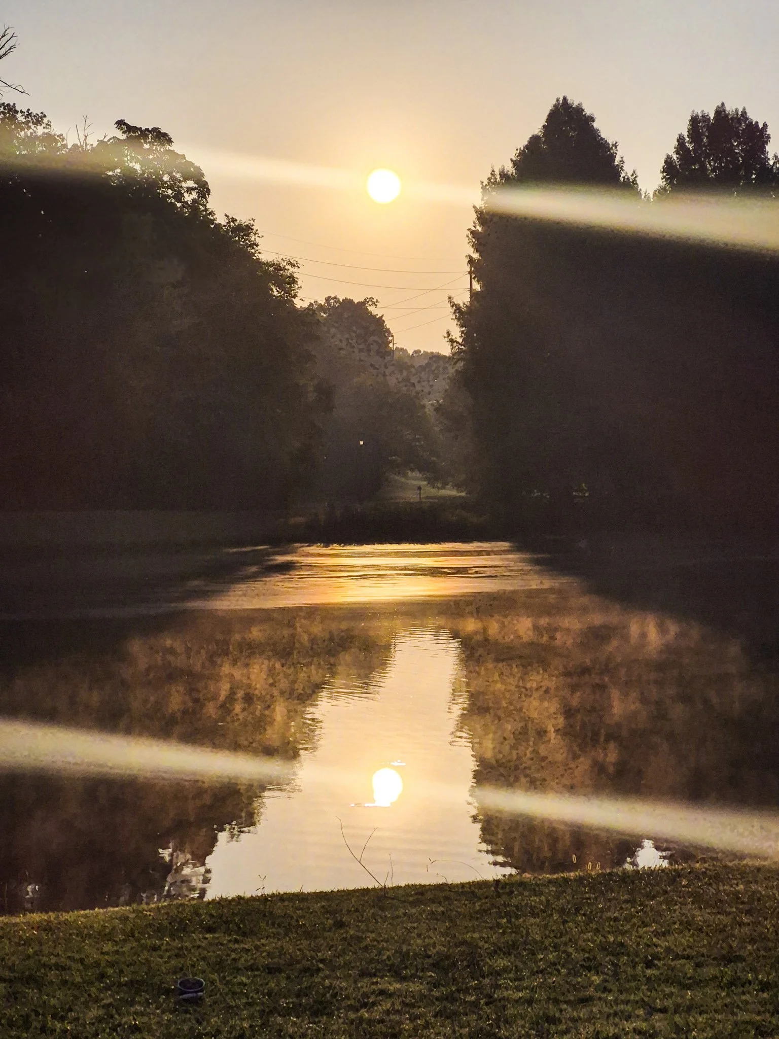 A golden sun rising over a quiet body of water, reflected in the still surface between tree-lined hills.