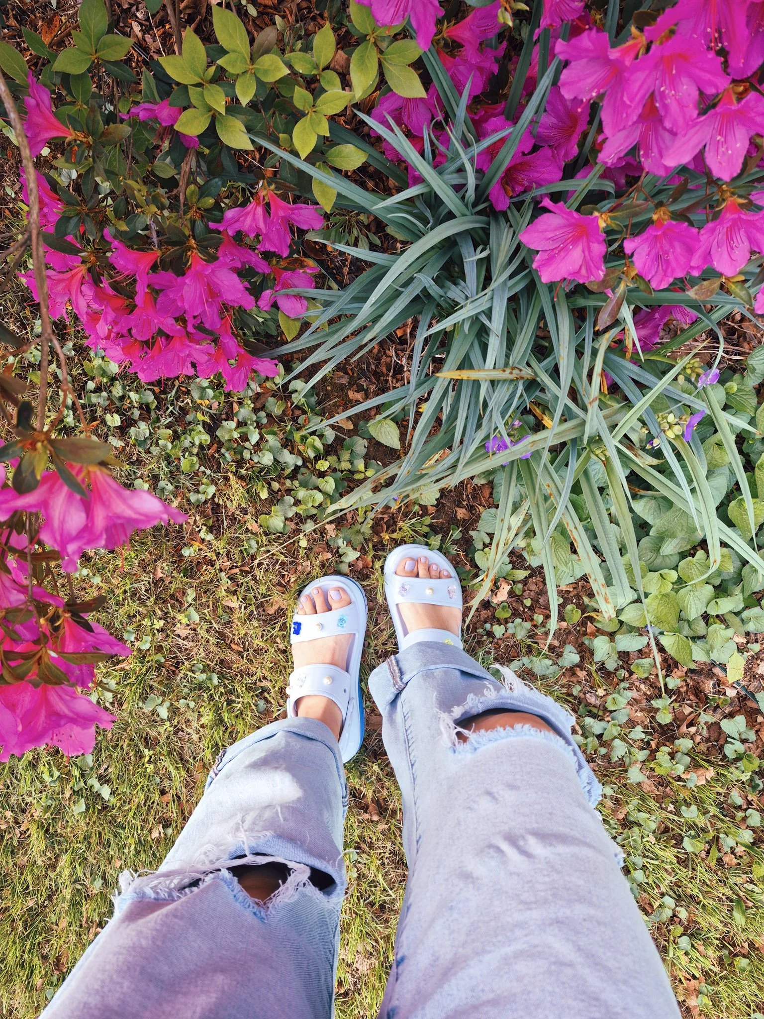 Person standing in grass near bright pink flowers wearing light blue sandals and distressed jeans