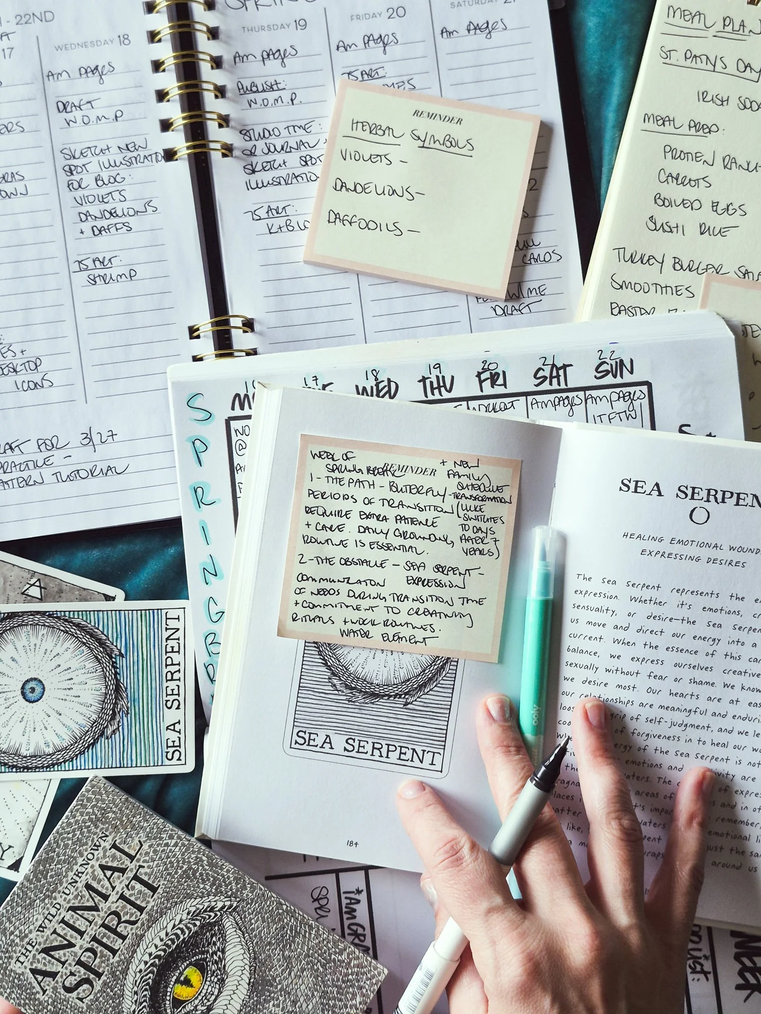 overhead image of notes on the oracle card  spread