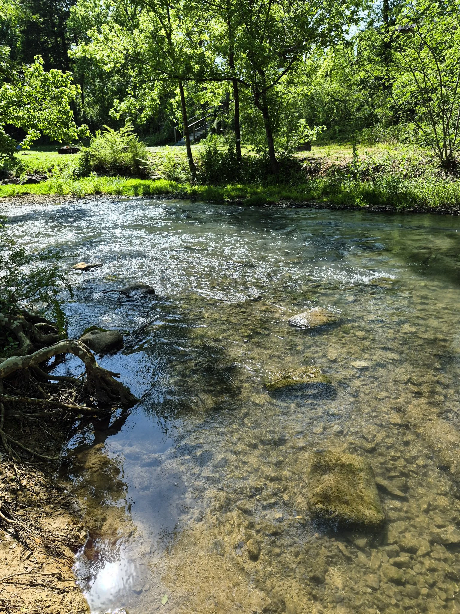 Clear shallow creek water with visible rocks and sunlight reflecting on the surface.