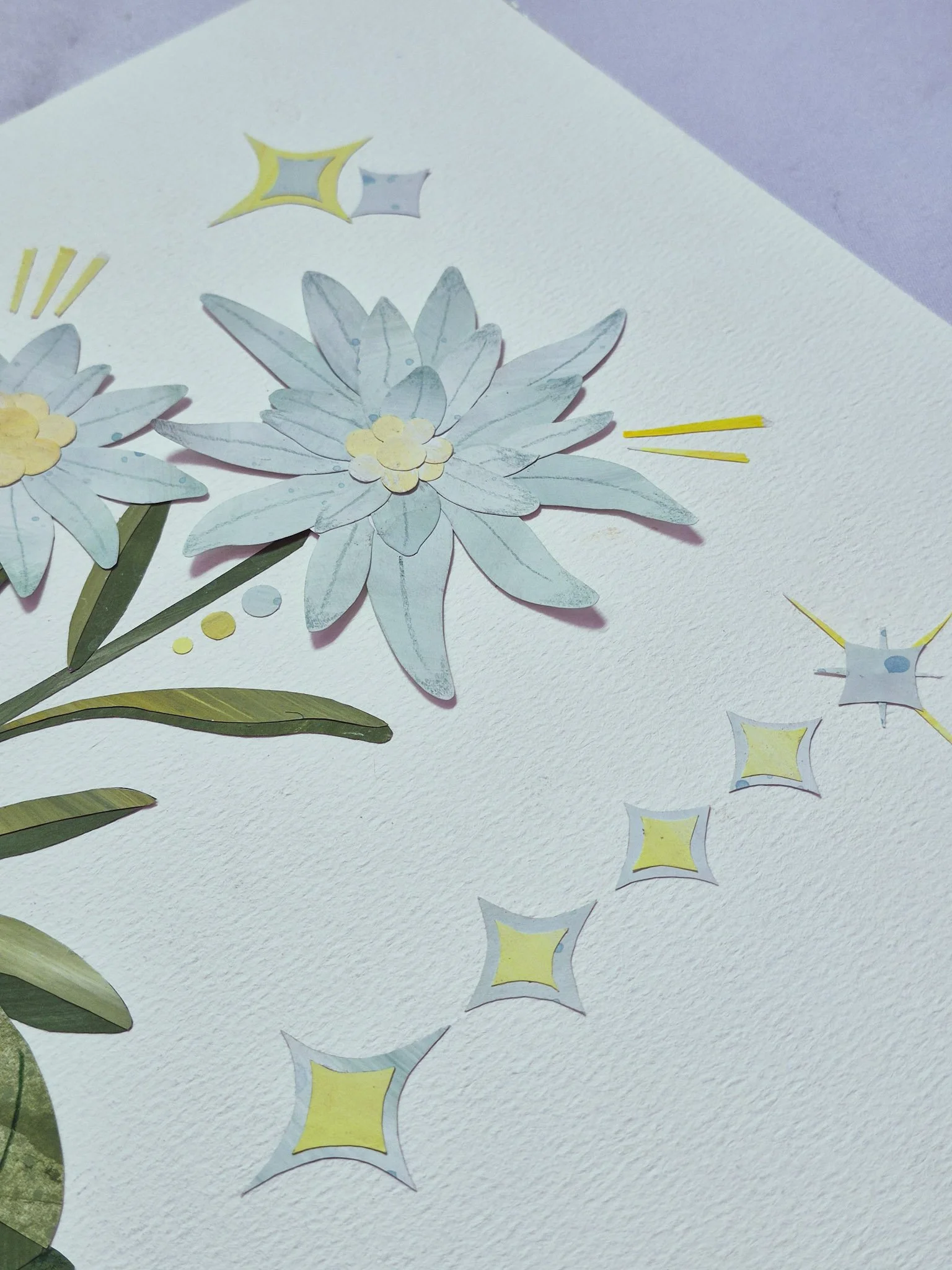 closeup yuzu + edelweiss papercut collage illustration with retro starburst details