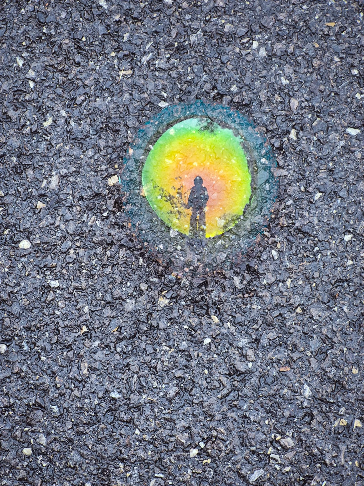 a large soapy bubble staying unpopped on a rain soaked driveway with the reflection of the artist carrying foraged blooms in the iridescent yellow and green bubble