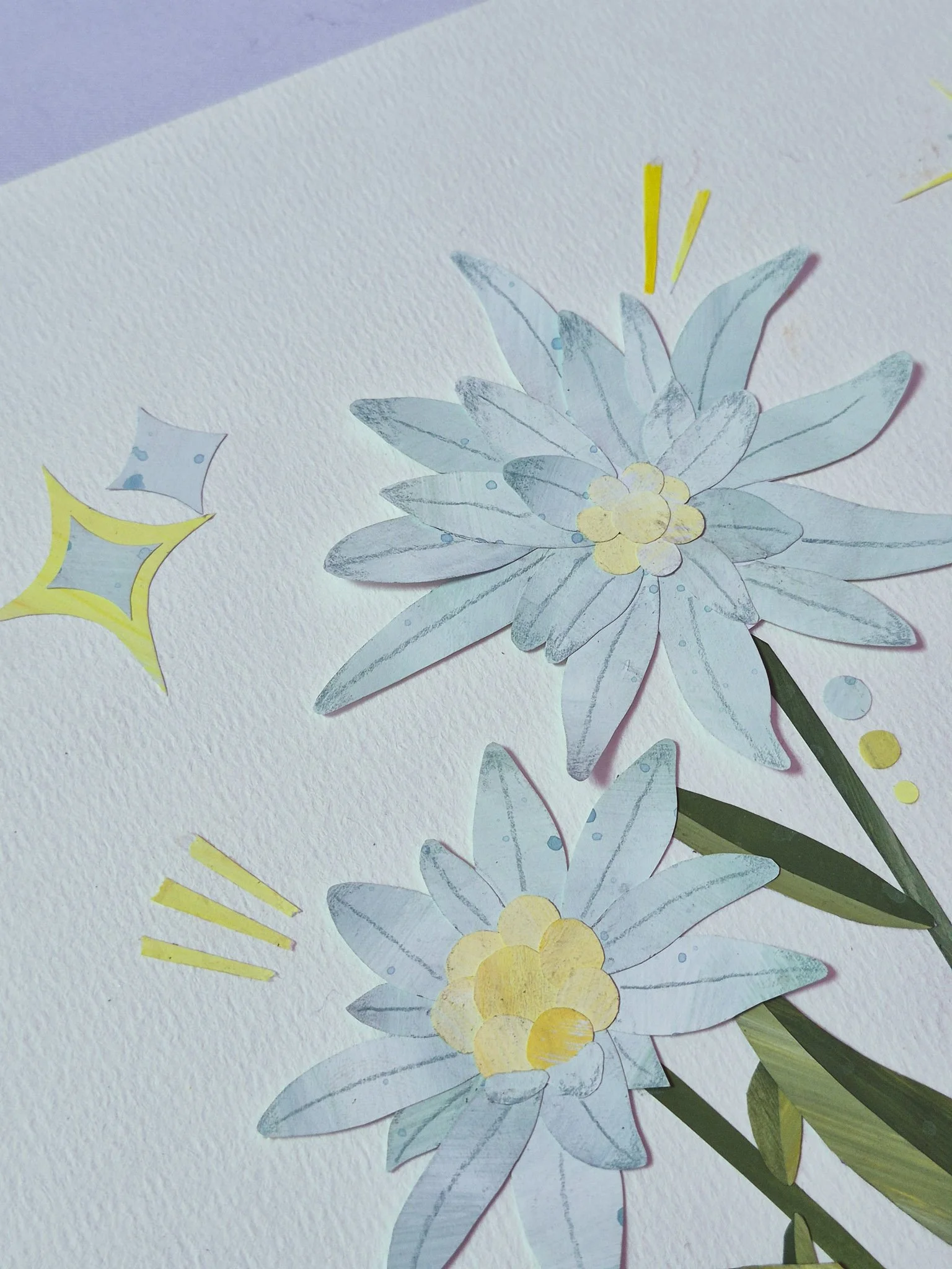 a close up image of hand-painted paper collage edelweiss flower and retro starbursts