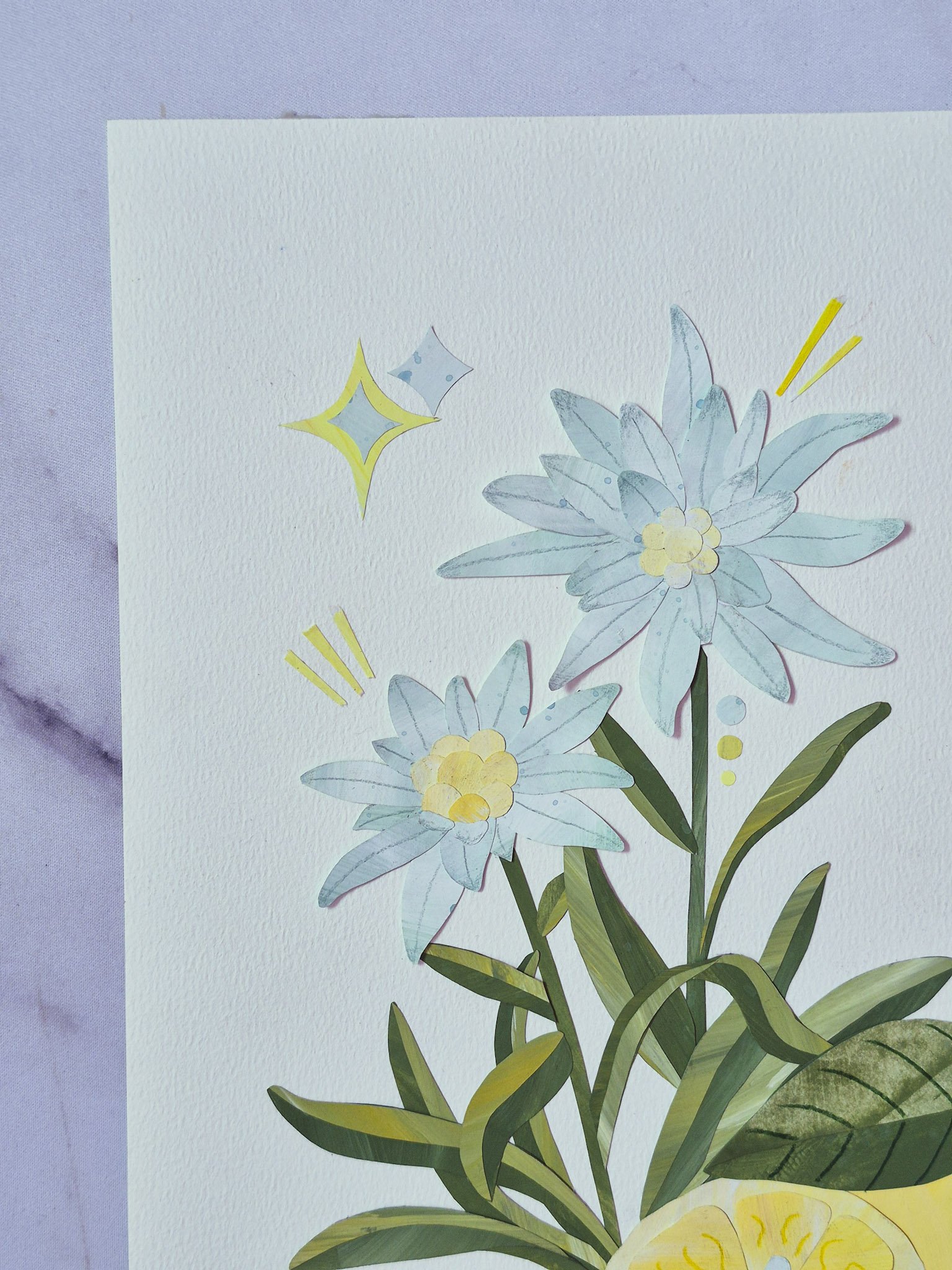closeup of edelweiss and yuzu painted paper collage on a white background
