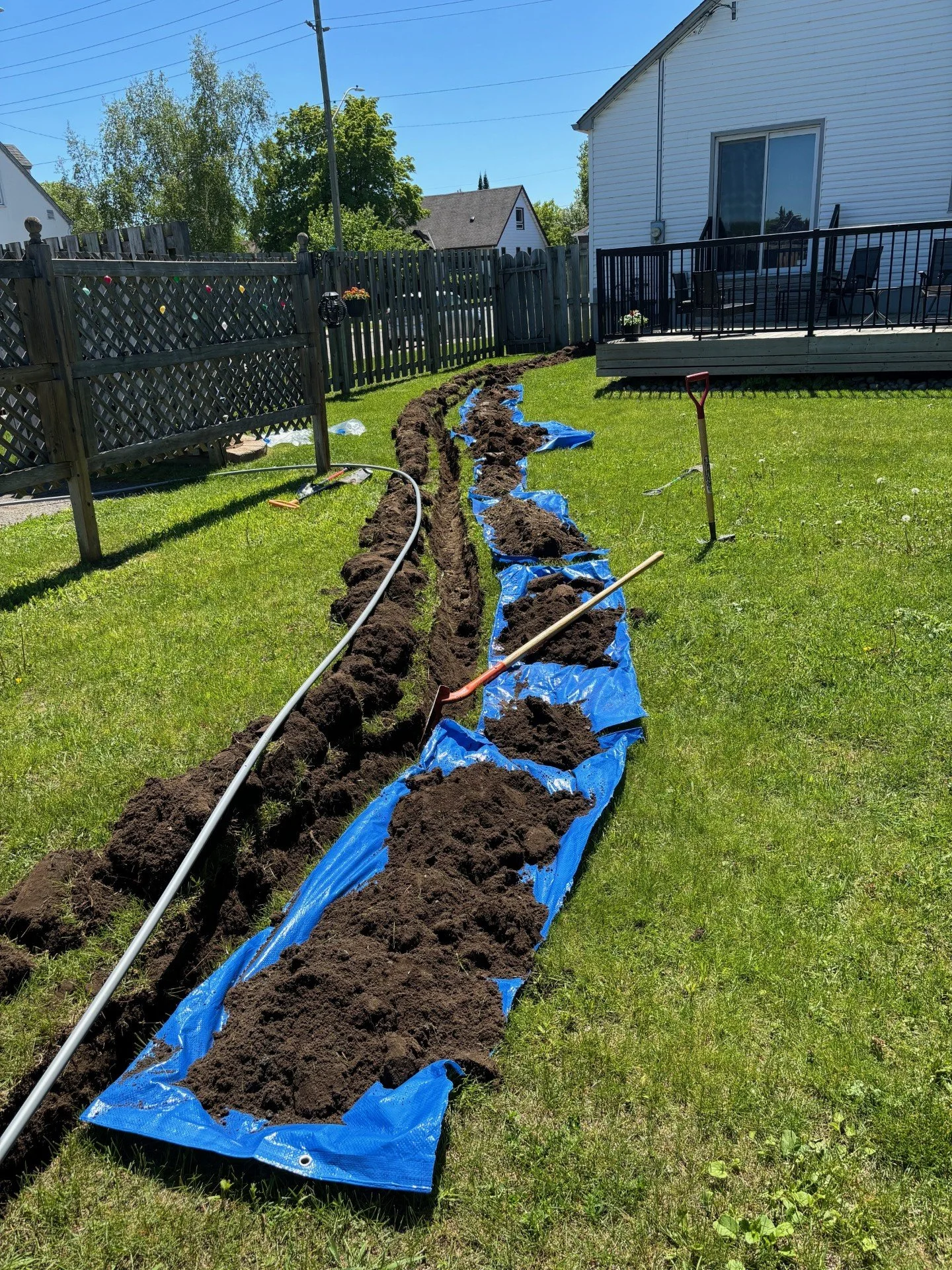 A backyard with a partially dug trench lined with blue tarp, with piles of dirt alongside, garden tools and a hose nearby, and a patio with chairs and a house exterior in the background.