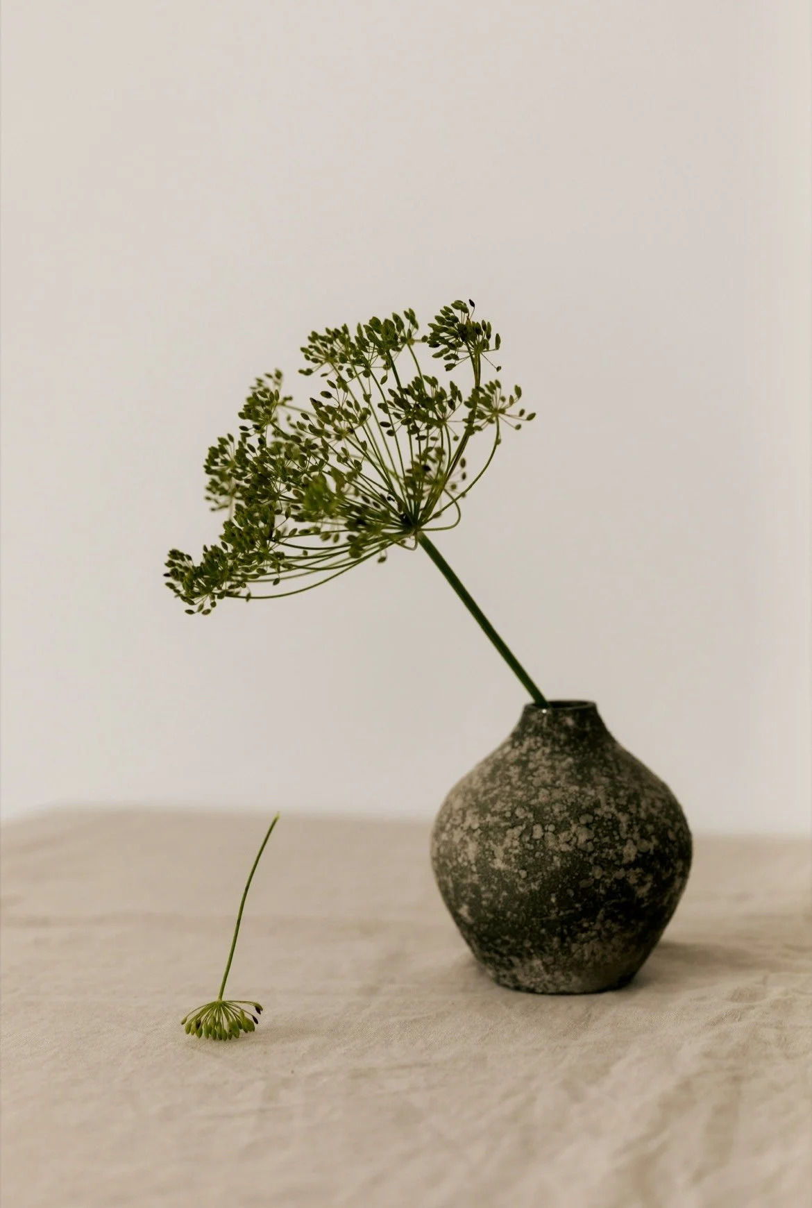 The Probably Fine Philosophy: Life Doesn’t Need to Be Perfect to Feel Good