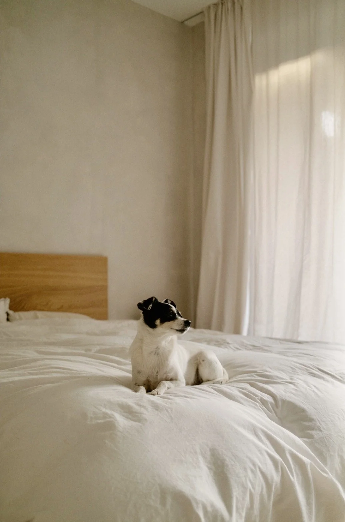 How To Wake Up Earlier Without Feeling Miserable