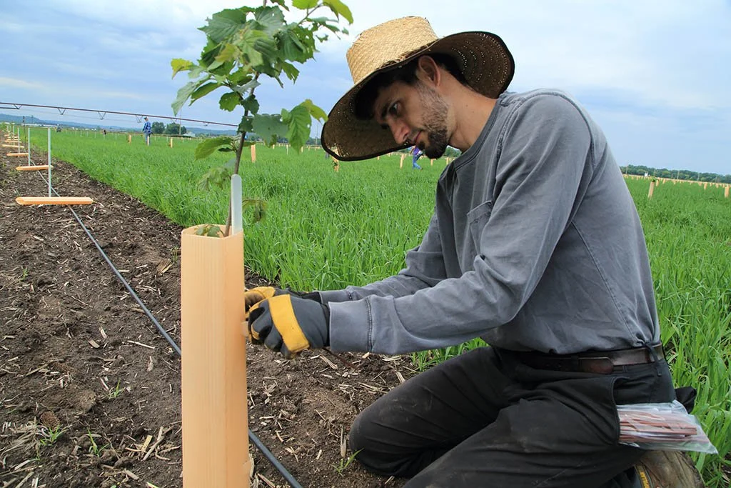 Regenerative Agriculture