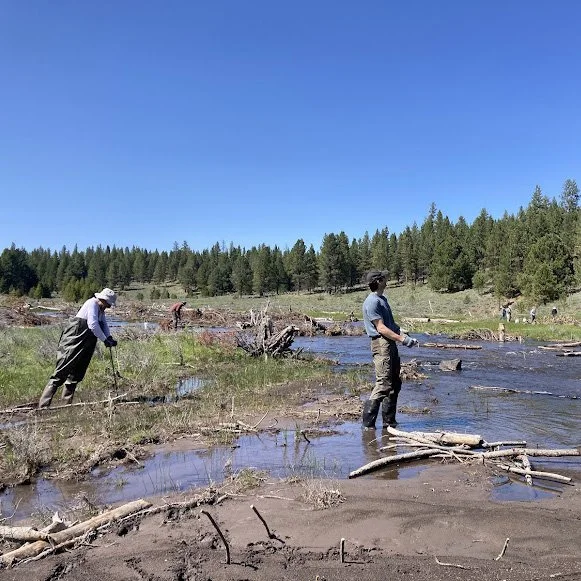 two people fishing in a wetland habitat