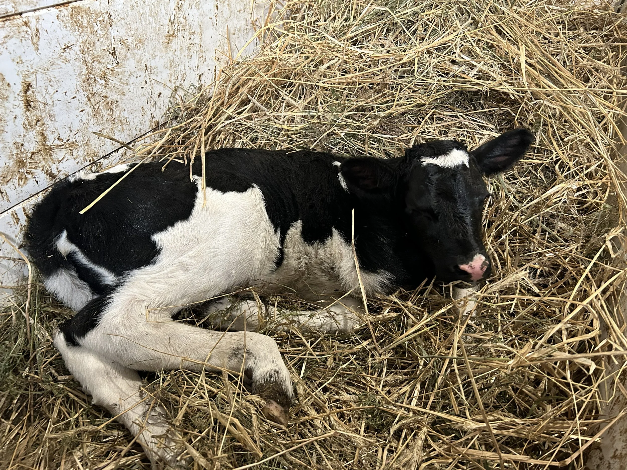 What makes farm fresh different?