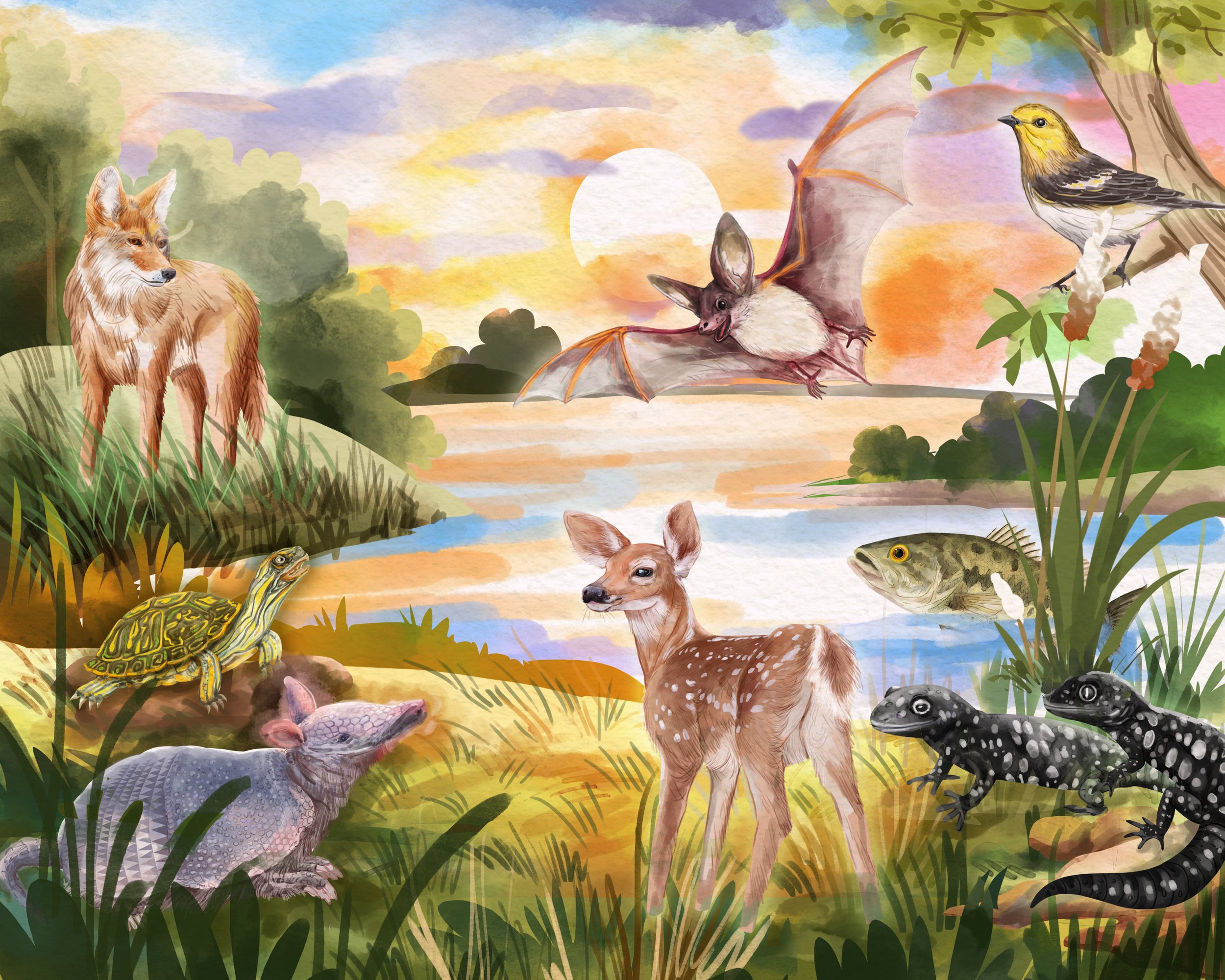 River wildlife illustration from The Basin Buddies picture book series for children ages 3–8.