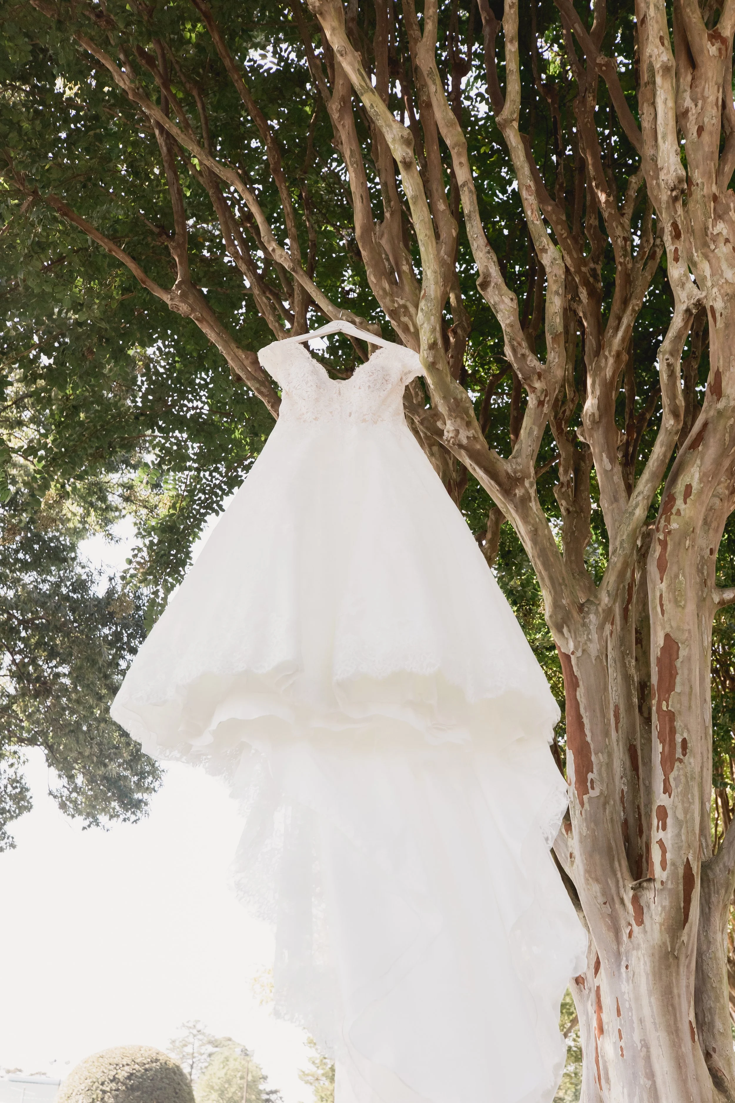 Thomas and Lori VIRGINIA WEDDING-6495.jpg