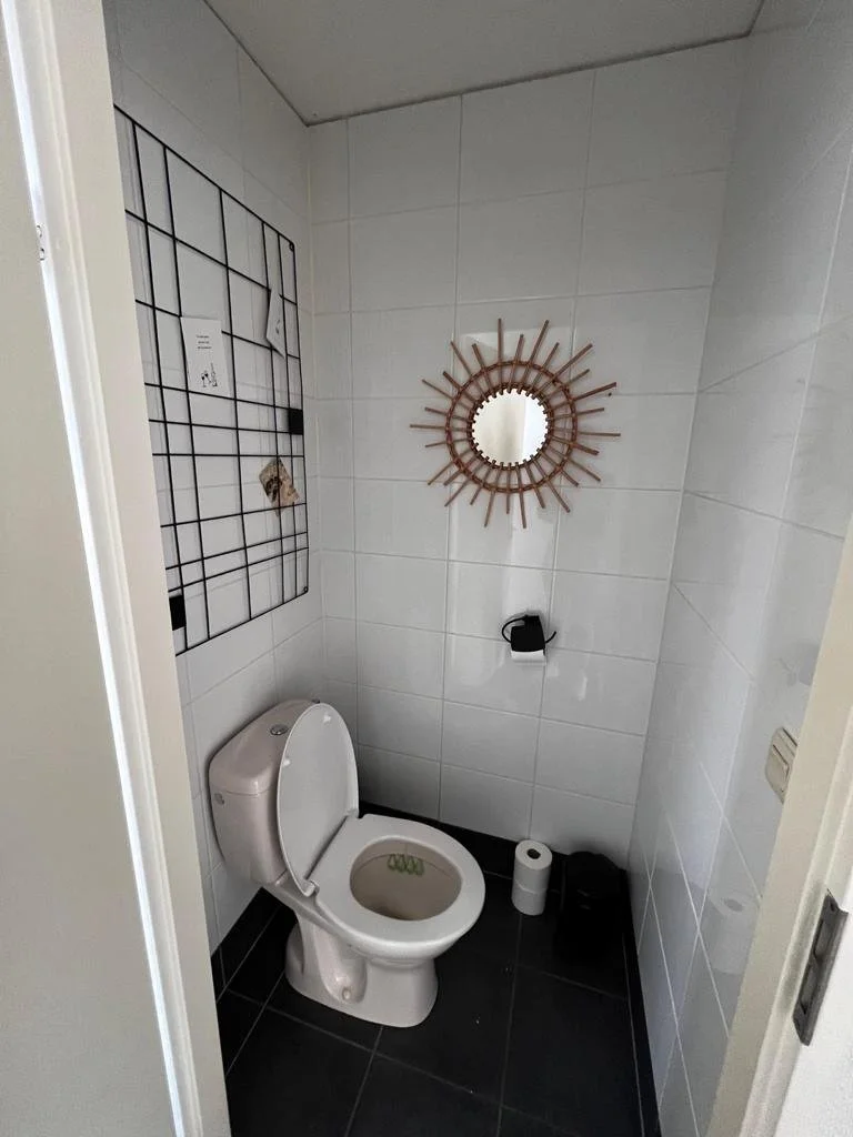 vianen_toilet_before_2.jpg