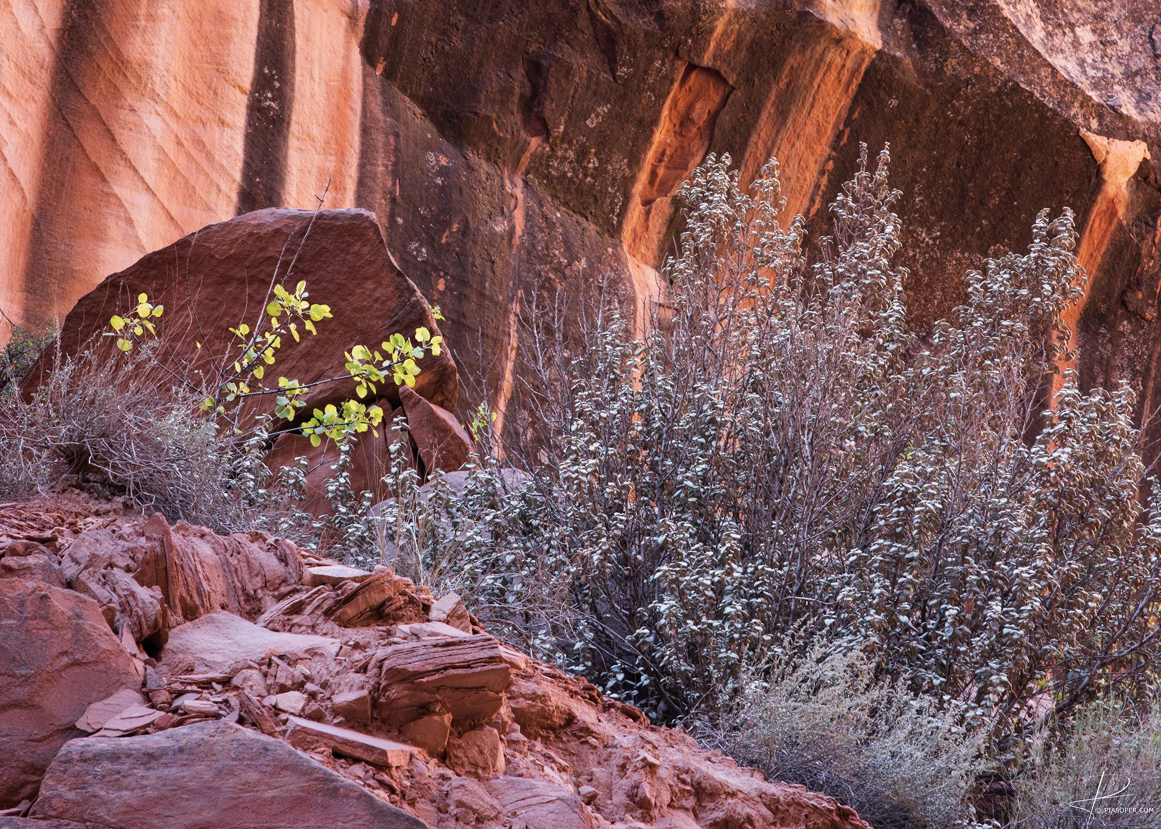 0C6A8621 no border enhanced.jpg