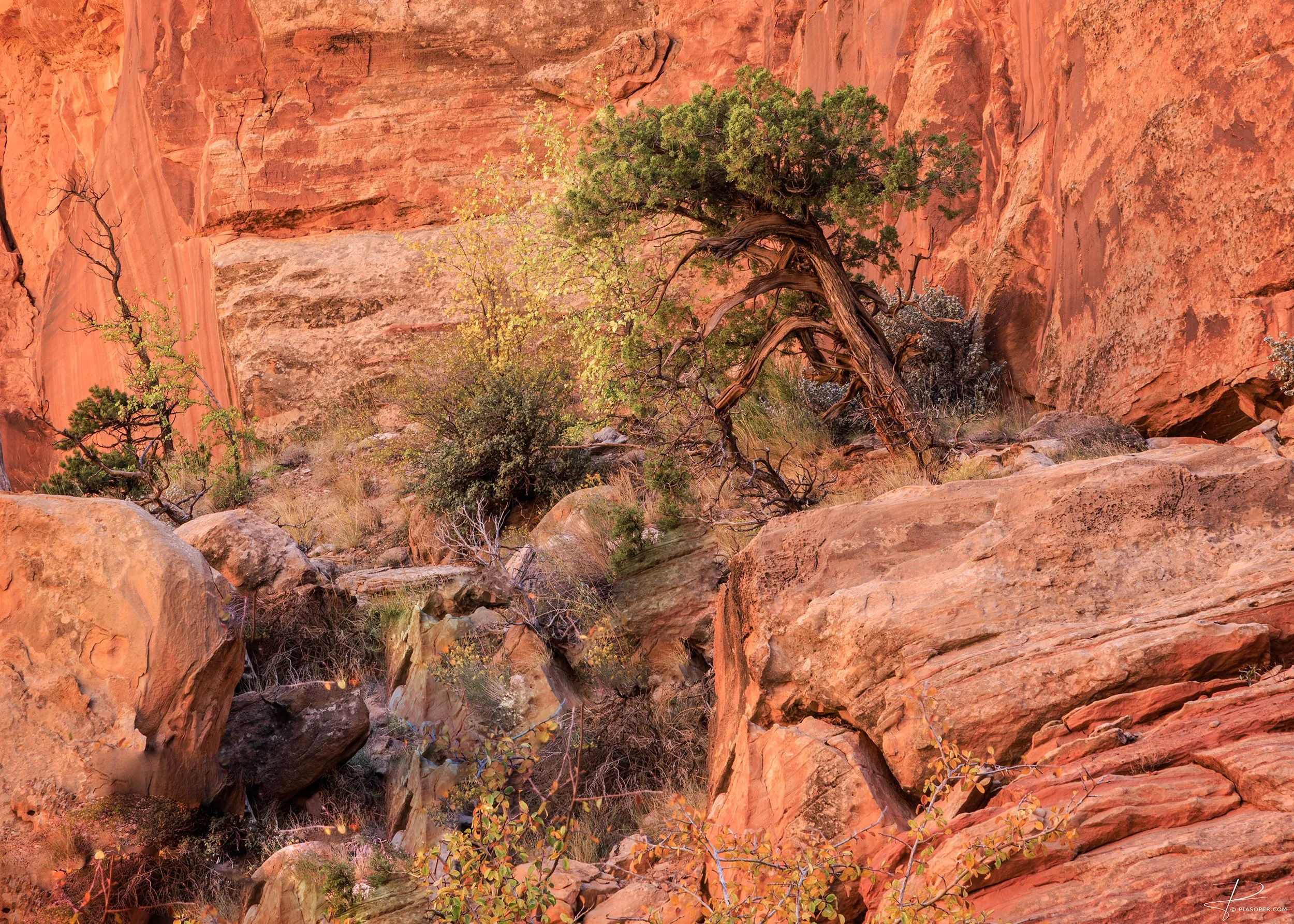 2026-01-16 17-47-11 (B,R18,S5) Helicon 1-Edit sharpened no border.jpg