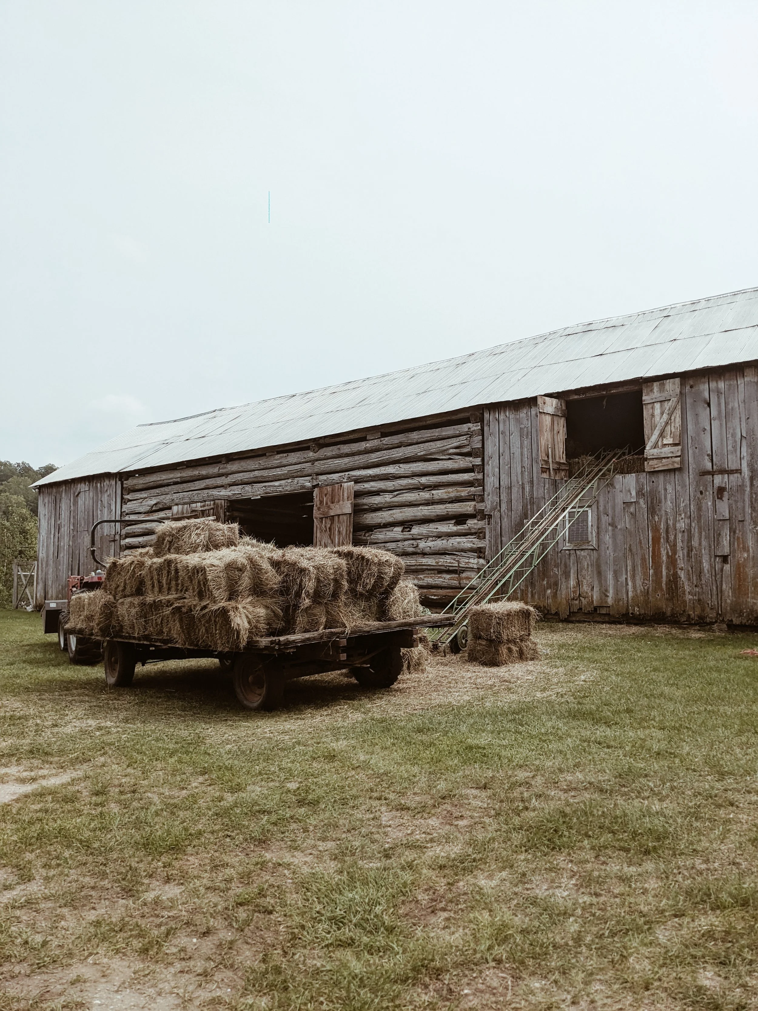 An old wooden barn with a weathered roof, hay bales on a trailer, a ladder leaning against the barn, and an open doorway showing hay inside, on a grassy farm field.