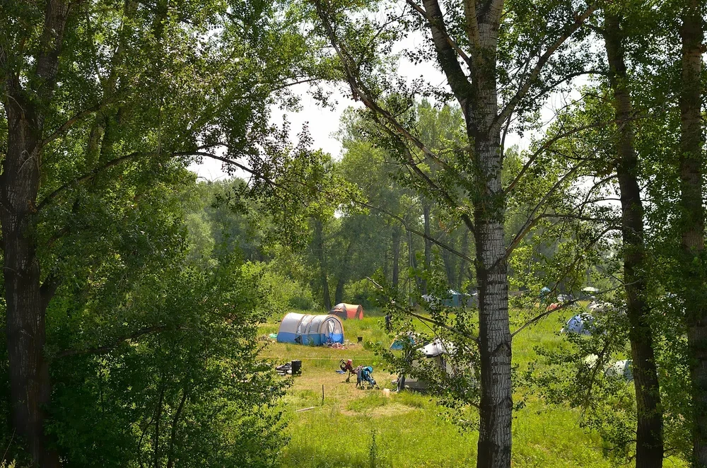 Log Driver’s Waltz Bikepacking Stop