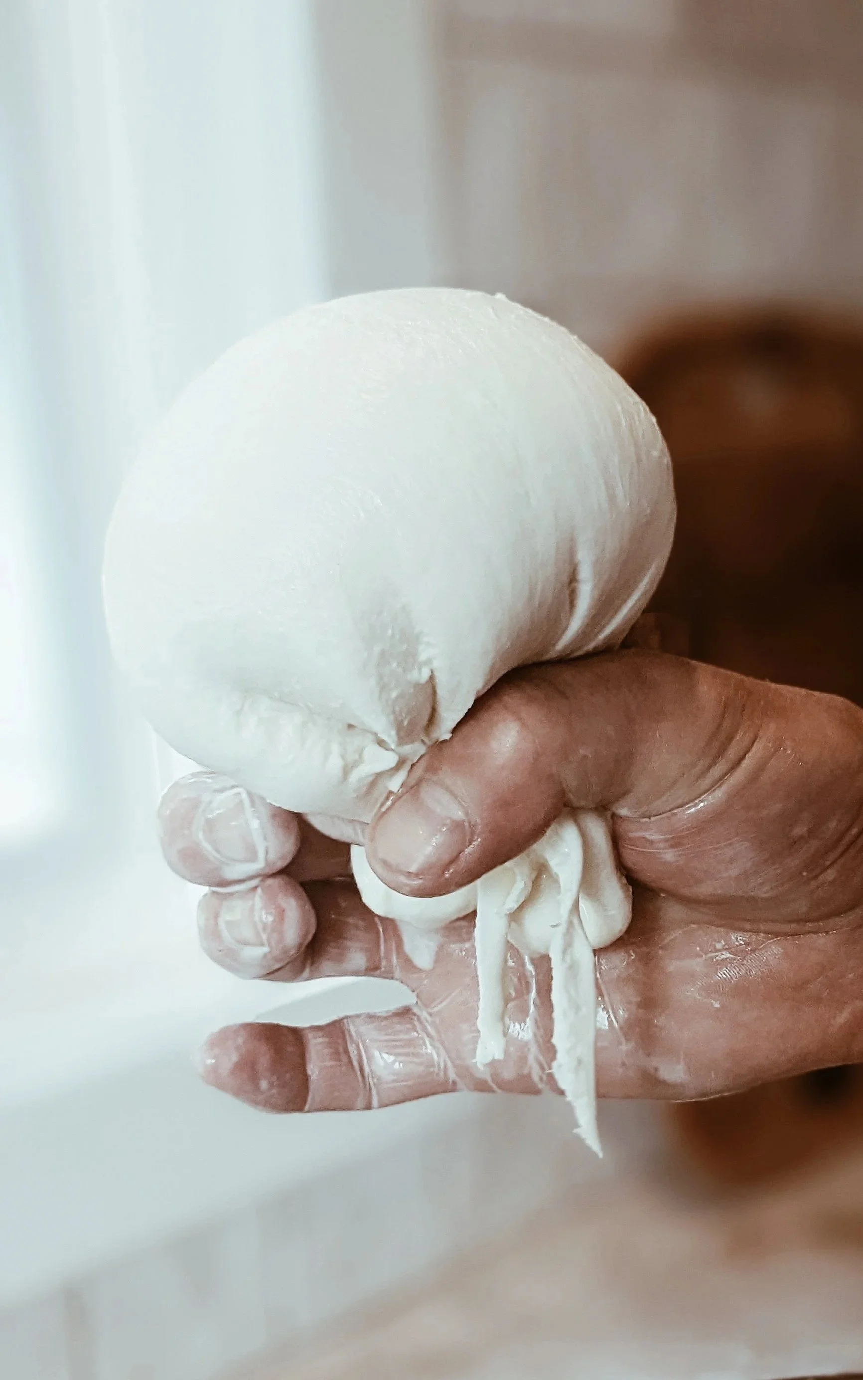A hand holding a large ball of mozzarella cheese.