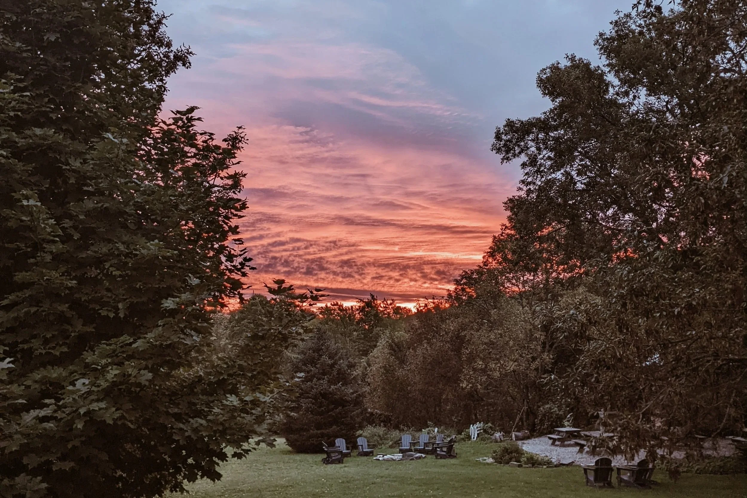 8665.jpg